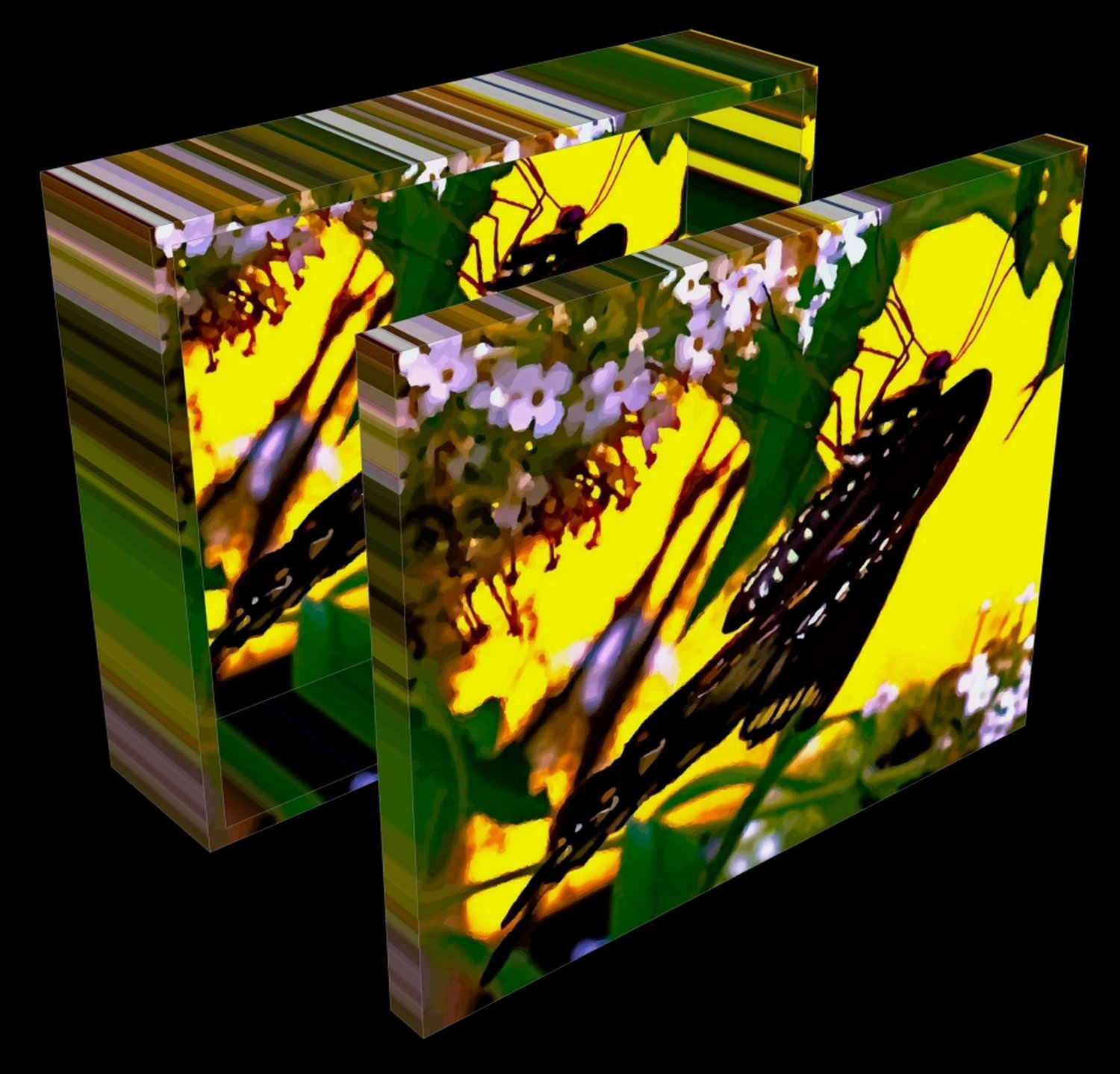  - A butterfly in Havana -- From start to finish - Retouching a picture of a swallowtail butterfly - Panasonic DNC-LF1 - butterfly in Havana. - Tony Karp, design, art, photography, techno-impressionist, techno-impressionism, aerial photography , drone , drones , dji , mavic pro , video , 3D printing - Books -