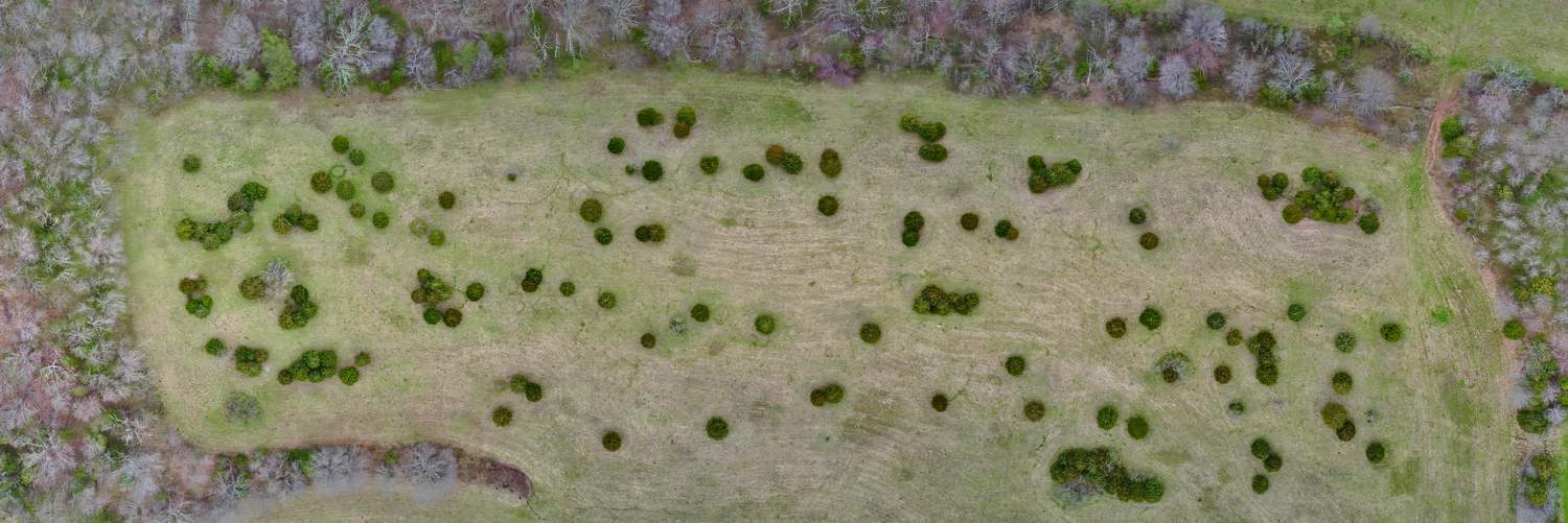  - This looks like some sort of a secret garden. Someone carefully mows the area around the trees. - Tony Karp, design, art, photography, techno-impressionist, techno-impressionism, aerial photography , drone , drones , dji , mavic pro , video , 3D printing - Books -