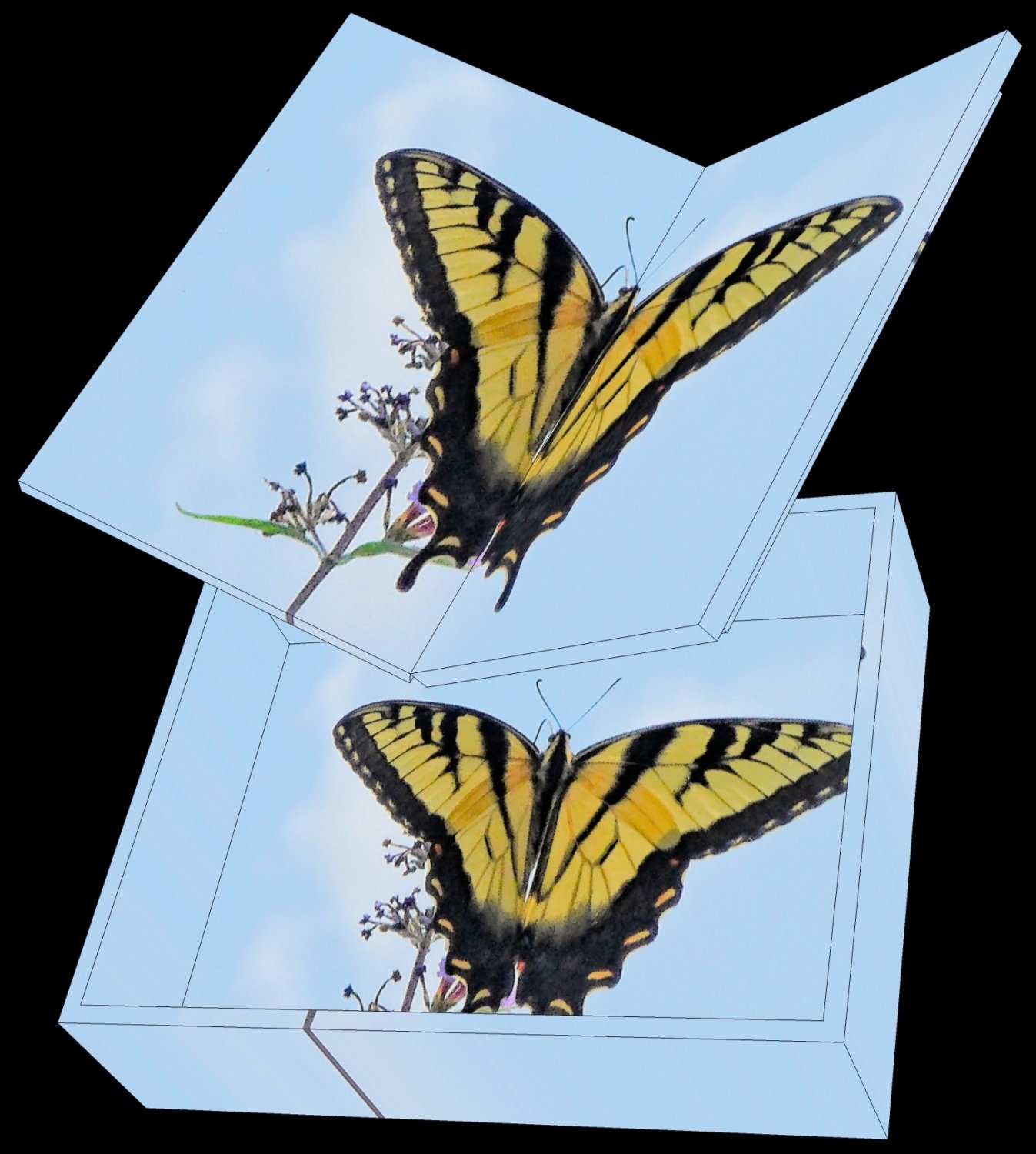  - a rendering that shows the butterfly box and its lid. - Tony Karp, design, art, photography, techno-impressionist, techno-impressionism, aerial photography , drone , drones , dji , mavic pro , video , 3D printing - Books -