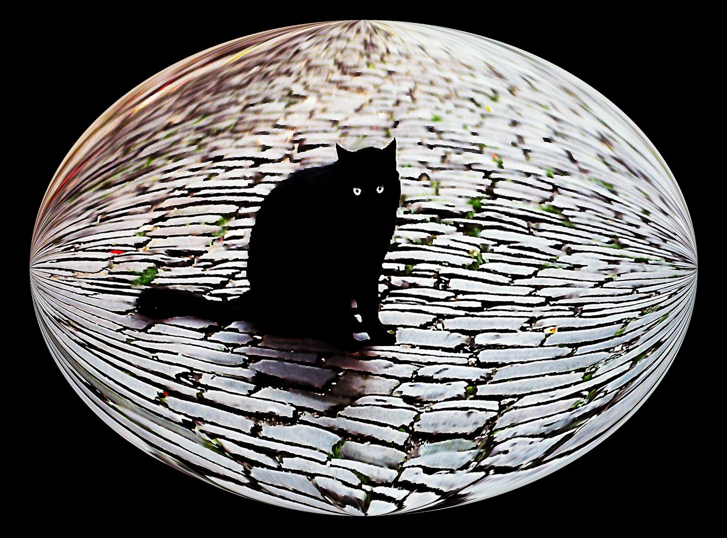  - A cat in Cordes sur Ciel represents all of the cats in France -  Tony Karp's Bubble Pictures - From 1959 to 2013 - Tony Karp, design, art, photography, techno-impressionist, techno-impressionism, aerial photography , drone , drones , dji , mavic pro , video , 3D printing - Books -