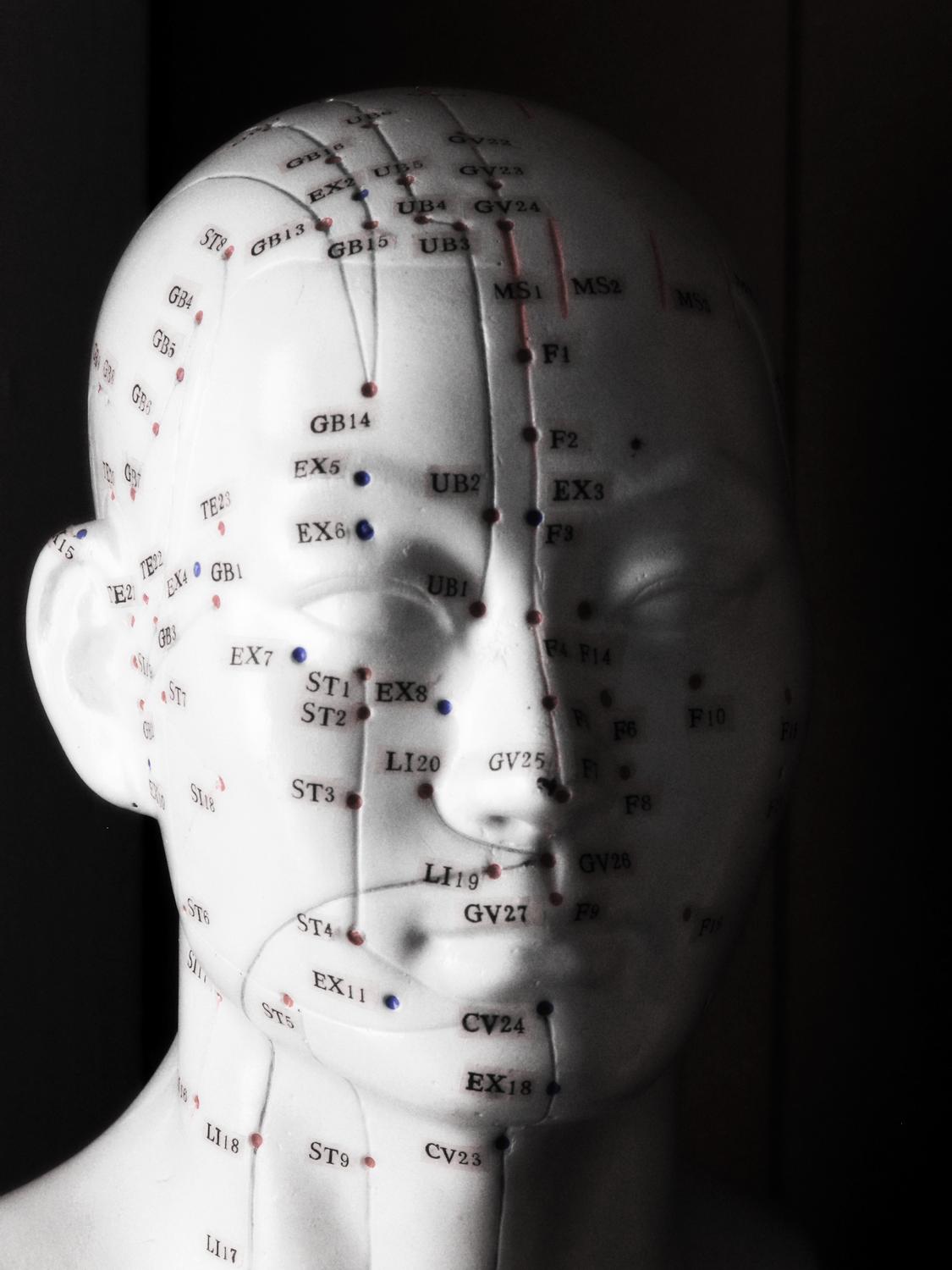 Acupuncture head - Portrait of Pinhead - Kodak Easyshare P880 - Tony Karp, design, art, photography, techno-impressionist, techno-impressionism, aerial photography , drone , drones , dji , mavic pro , video , 3D printing - Books -