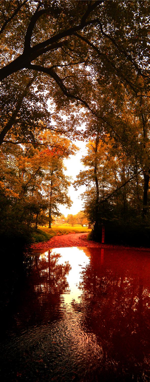 The ford at Bull Run - - The ford at Bull Run - Kodak P880 - Tony Karp, design, art, photography, techno-impressionist, techno-impressionism, aerial photography , drone , drones , dji , mavic pro , video , 3D printing - Books -