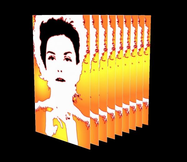 A stack of images creates a 3D print - a stack of Donna Mitchell image - A new process for printing art in the 3rd dimension - 3D Printing - Donna Mitchell - Tony Karp, design, art, photography, techno-impressionist, techno-impressionism, aerial photography , drone , drones , dji , mavic pro , video , 3D printing - Books -