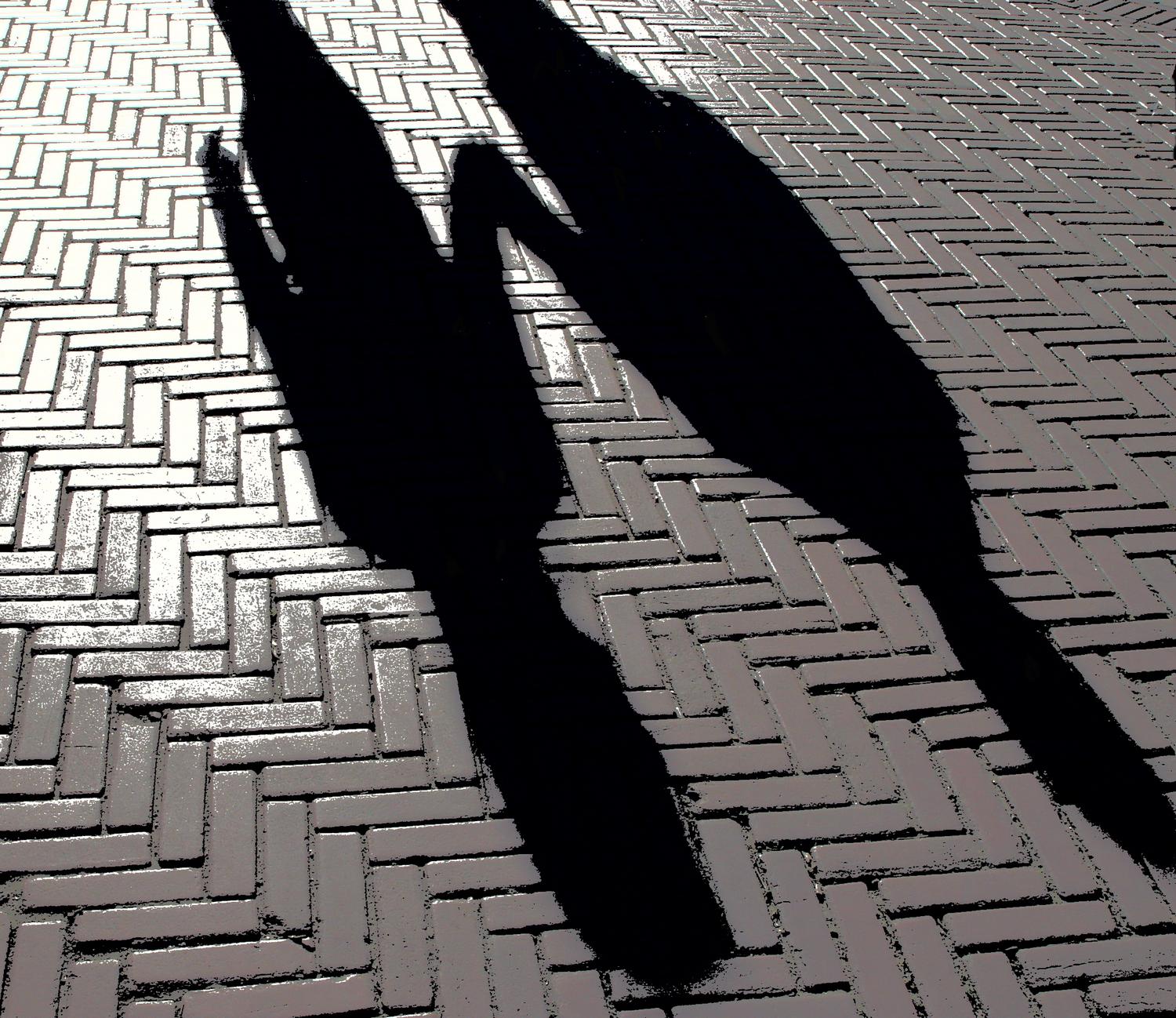 Shadows of people  in Central Park, new York city #6 -  Sony DSC-F707 - More than just friends. - Tony Karp, design, art, photography, techno-impressionist, techno-impressionism, aerial photography , drone , drones , dji , mavic pro , video , 3D printing - Books -