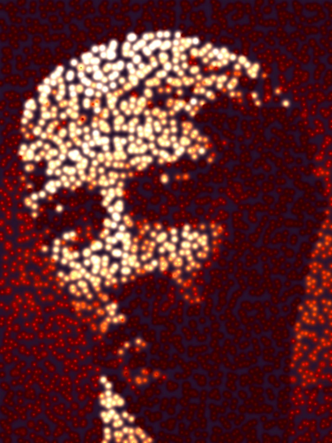 Greek bust - Star man - Metropolitan Museum of Art, New York City - Tony Karp, design, art, photography, techno-impressionist, techno-impressionism, aerial photography , drone , drones , dji , mavic pro , video , 3D printing - Books -