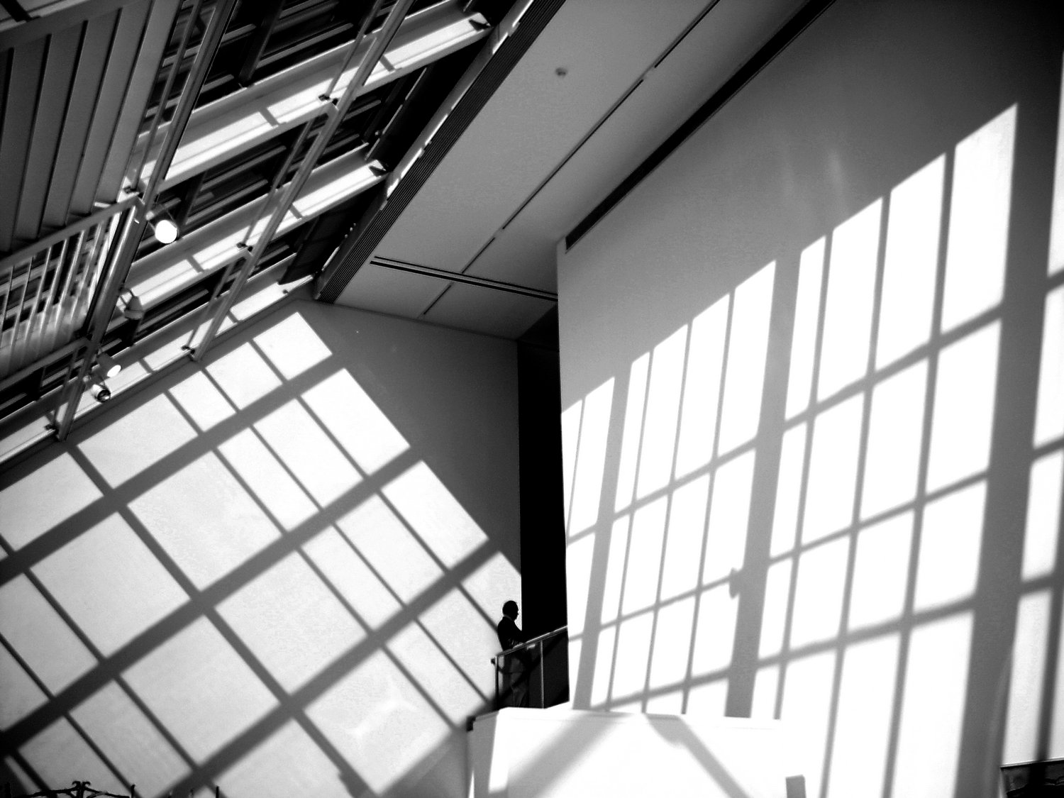  - We'll start by reducing the image to black and white. Not bad. We could stop here, but let's keep going. - Metropolitan Museum - New York City - Tony Karp, design, art, photography, techno-impressionist, techno-impressionism, aerial photography , drone , drones , dji , mavic pro , video , 3D printing - Books -
