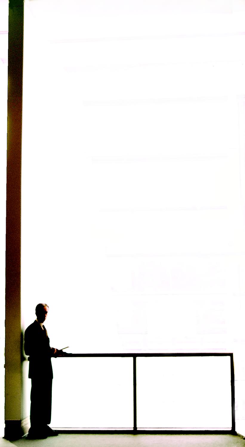 panorama in the Met - Man from the Met - Metropolitan Museum of Art, New York City - Tony Karp, design, art, photography, techno-impressionist, techno-impressionism, aerial photography , drone , drones , dji , mavic pro , video , 3D printing - Books -