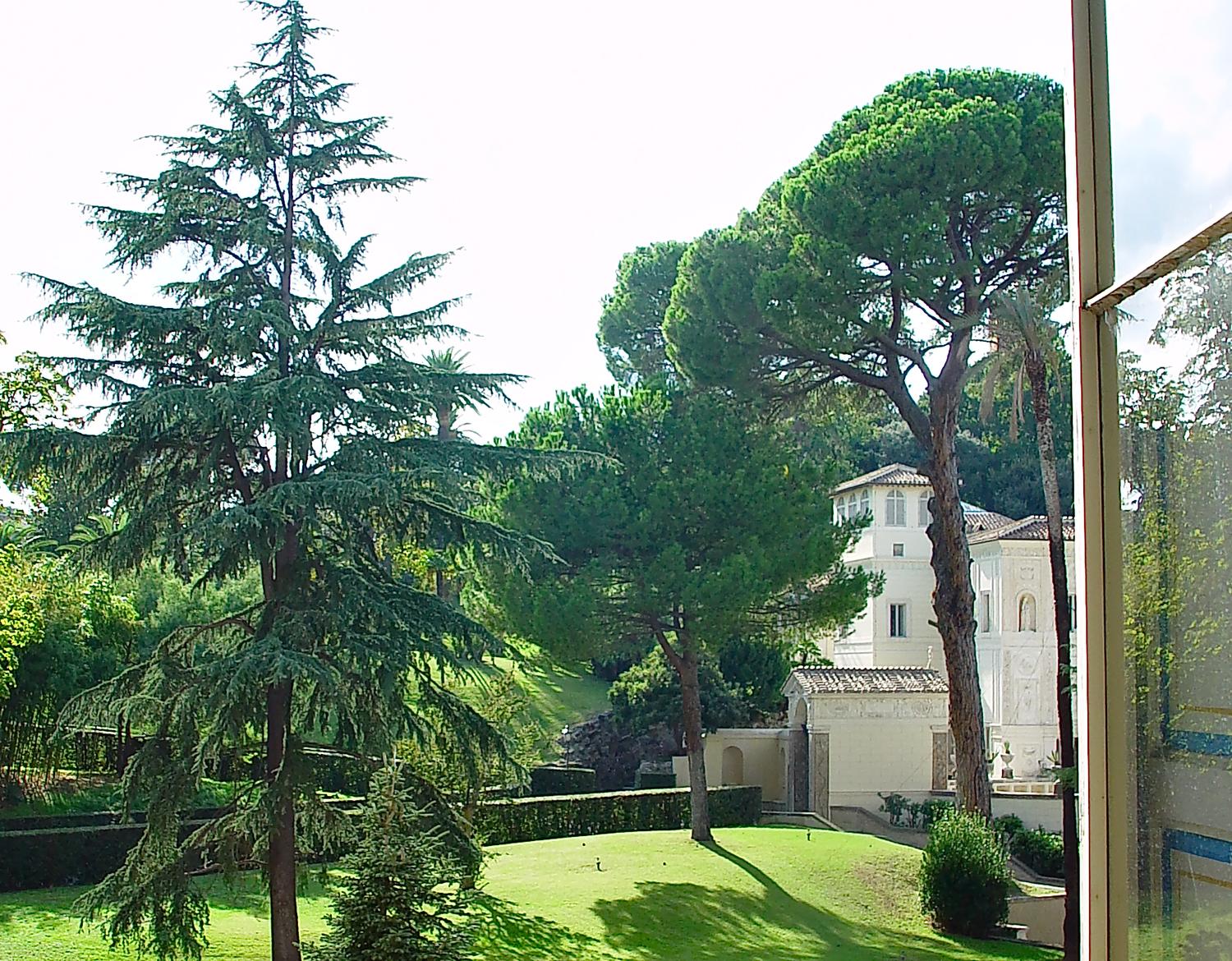  - View from a Vatican window. The stone pine tree is on the right. Note the distinctive umbrella shape. - - Italian Stone Pine Tree - Umbrella Pine - Pinus Pinea - - Tony Karp, design, art, photography, techno-impressionist, techno-impressionism, aerial photography , drone , drones , dji , mavic pro , video , 3D printing - Books -