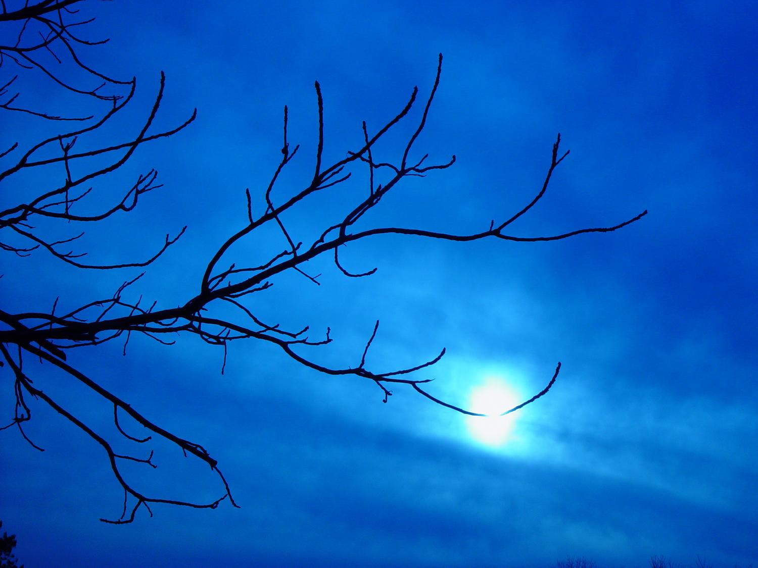 the moon in the trees - Standing behind the house at night - Tony Karp, design, art, photography, techno-impressionist, techno-impressionism, aerial photography , drone , drones , dji , mavic pro , video , 3D printing - Books -