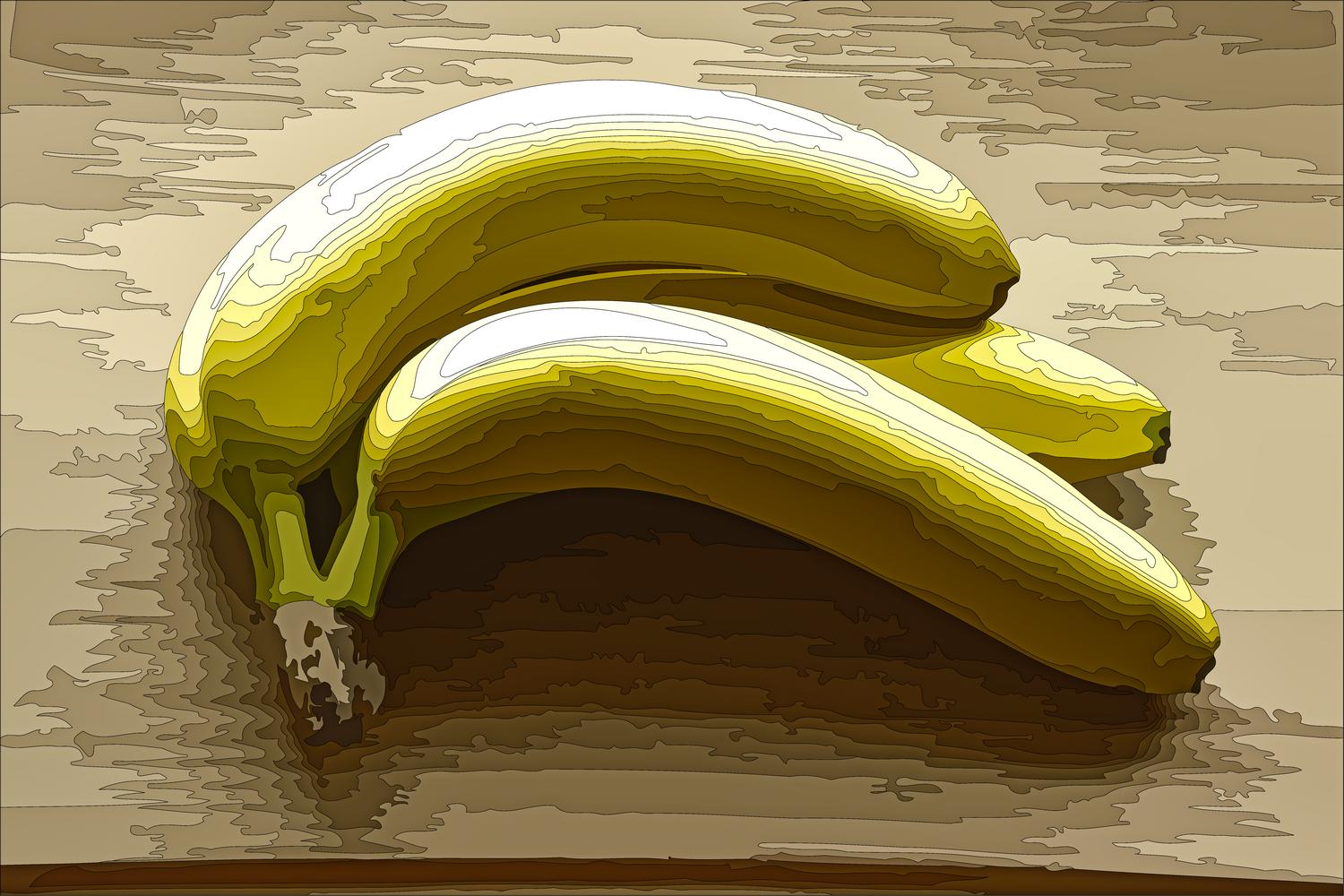 - Bananas with isochromatic zones delineated -  - taken with Sony DSC-R1 - Tony Karp, design, art, photography, techno-impressionist, techno-impressionism, aerial photography , drone , drones , dji , mavic pro , video , 3D printing - Books -