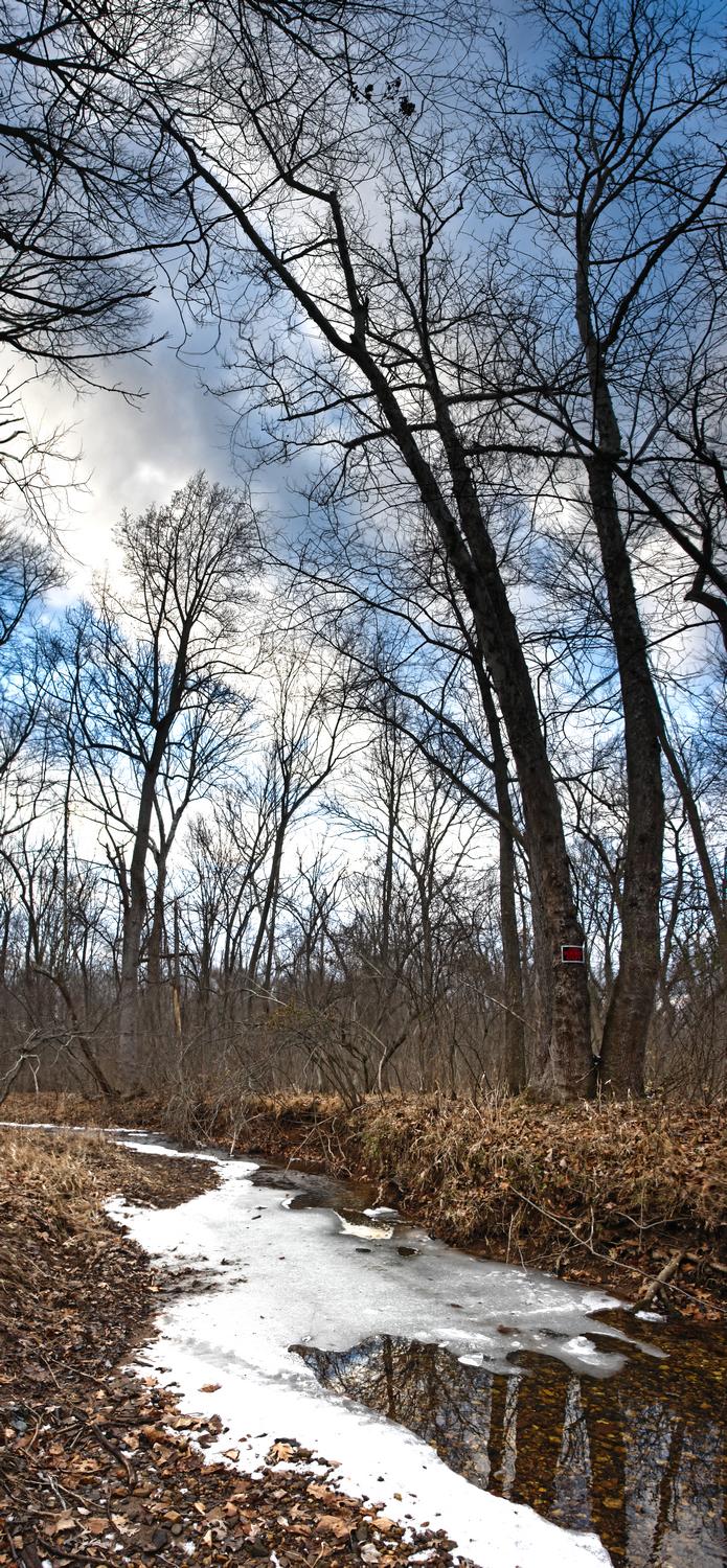  - Black Branch in winter -  - taken with Sony DSC-R1 - Tony Karp, design, art, photography, techno-impressionist, techno-impressionism, aerial photography , drone , drones , dji , mavic pro , video , 3D printing - Books -