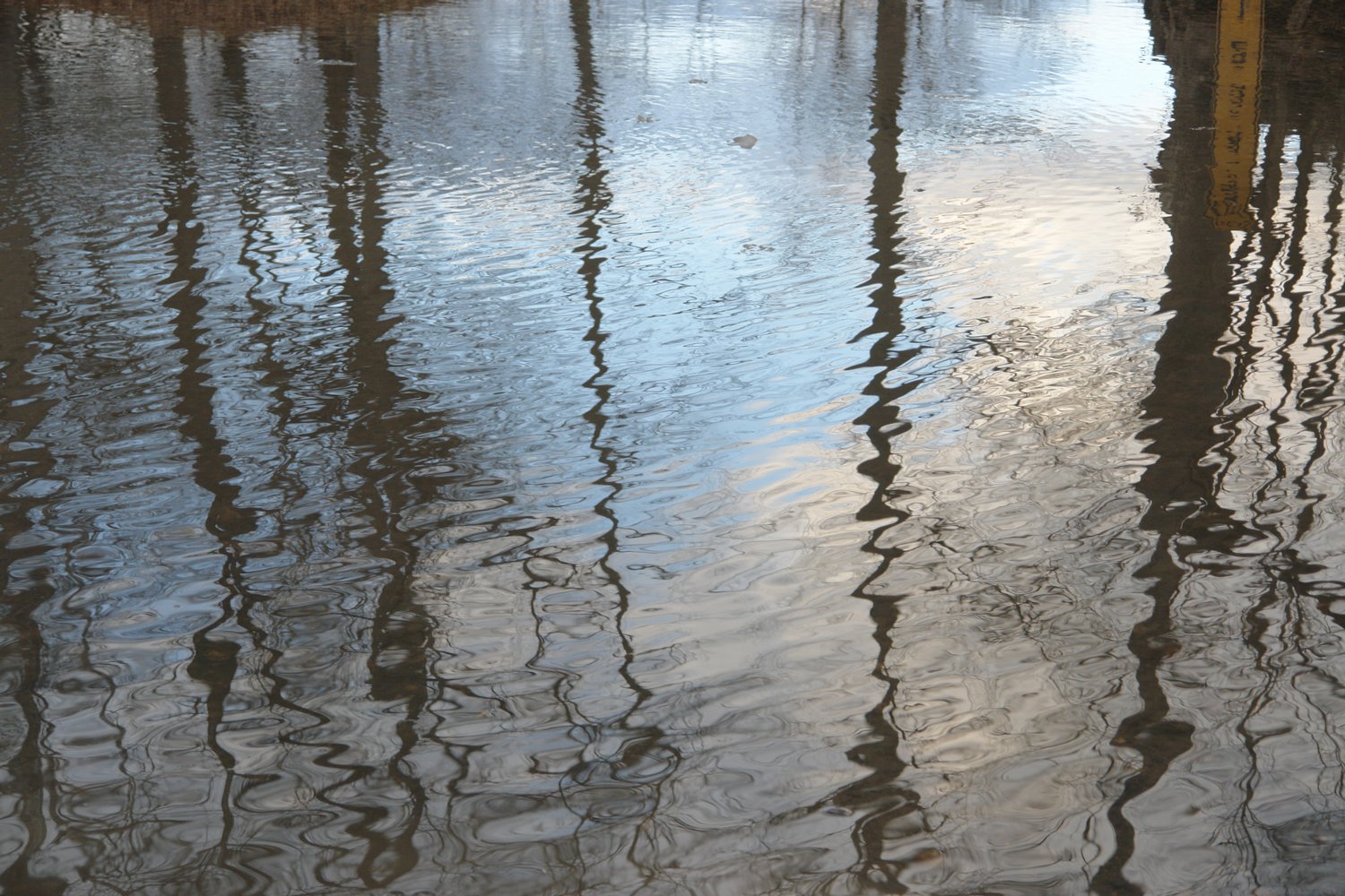  - Reflections on an icy stream -  - taken with Sony DSC-R1 - Tony Karp, design, art, photography, techno-impressionist, techno-impressionism, aerial photography , drone , drones , dji , mavic pro , video , 3D printing - Books -