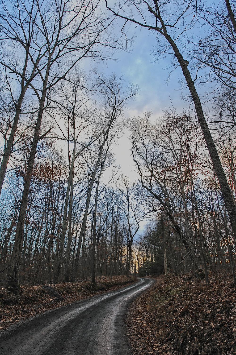  - The road from Bull Run -  - taken with Sony DSC-R1 - Tony Karp, design, art, photography, techno-impressionist, techno-impressionism, aerial photography , drone , drones , dji , mavic pro , video , 3D printing - Books -