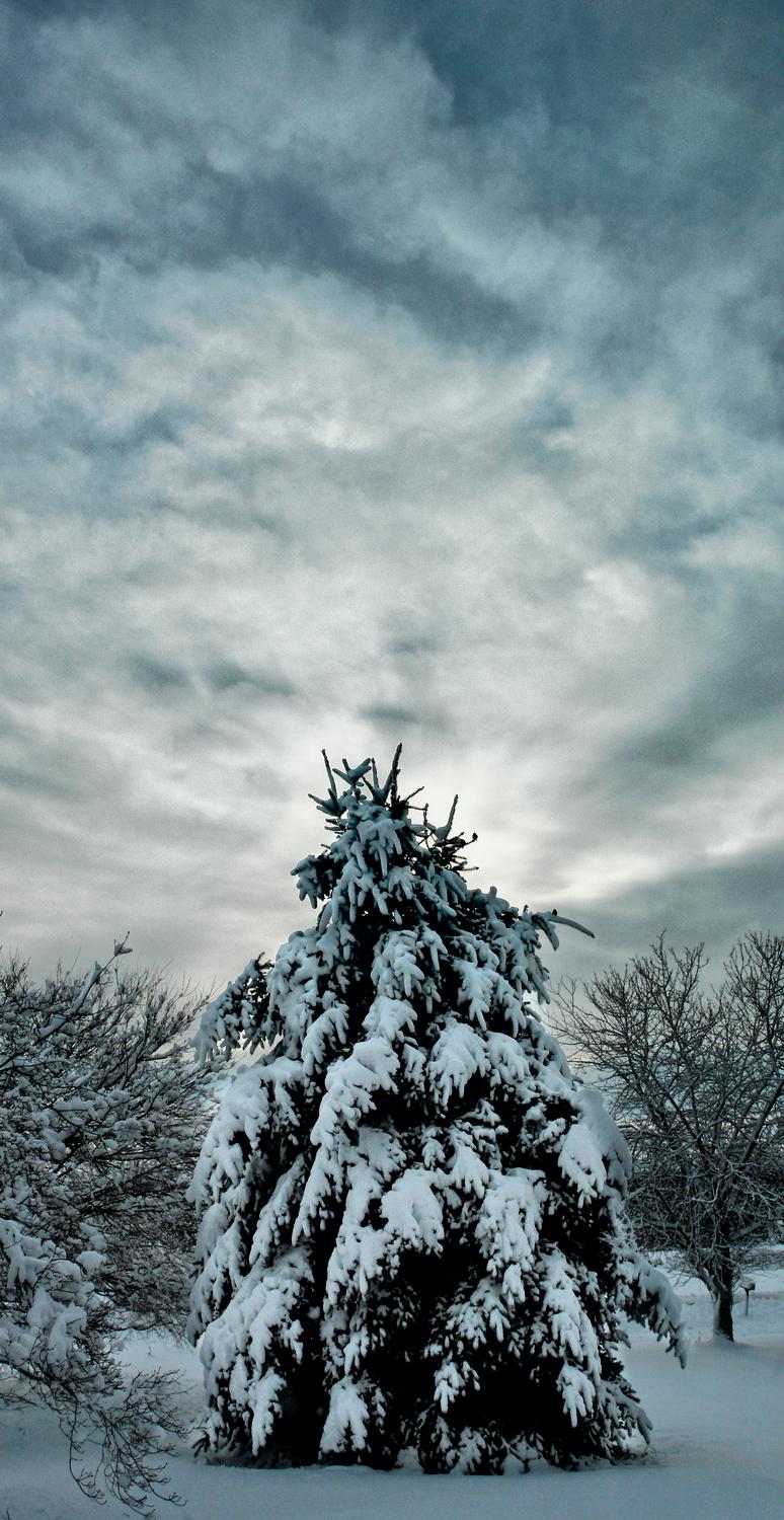  - Winter morning -  - taken with Sony DSC-R1 - Tony Karp, design, art, photography, techno-impressionist, techno-impressionism, aerial photography , drone , drones , dji , mavic pro , video , 3D printing - Books -