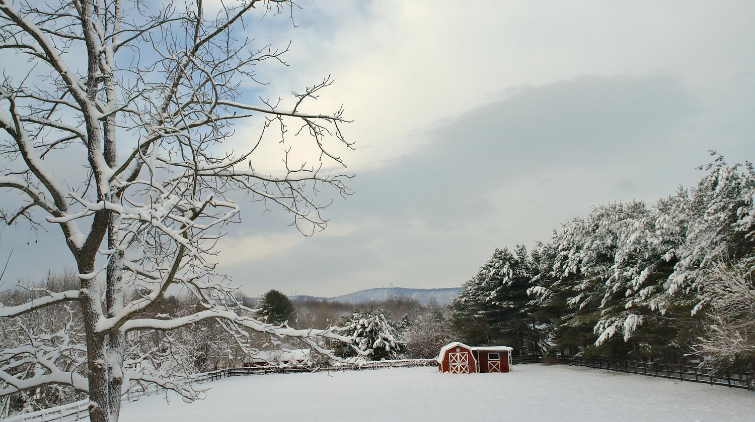  - Winter scene behind our house -  - taken with Sony DSC-R1 - Tony Karp, design, art, photography, techno-impressionist, techno-impressionism, aerial photography , drone , drones , dji , mavic pro , video , 3D printing - Books -