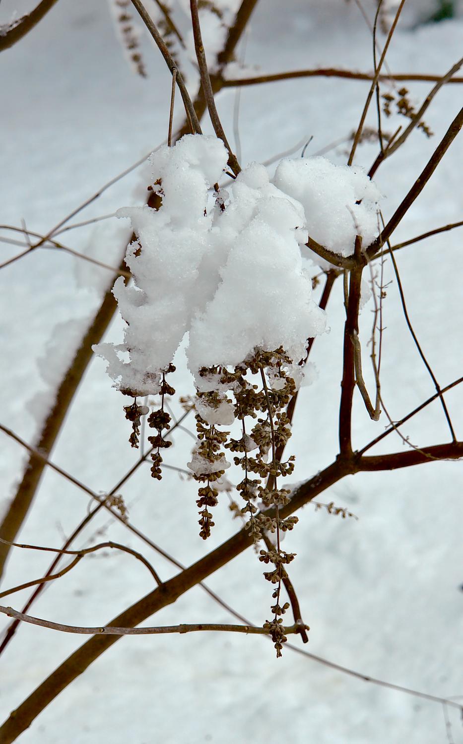  - A detail of winter -  - taken with Sony DSC-R1 - Tony Karp, design, art, photography, techno-impressionist, techno-impressionism, aerial photography , drone , drones , dji , mavic pro , video , 3D printing - Books -