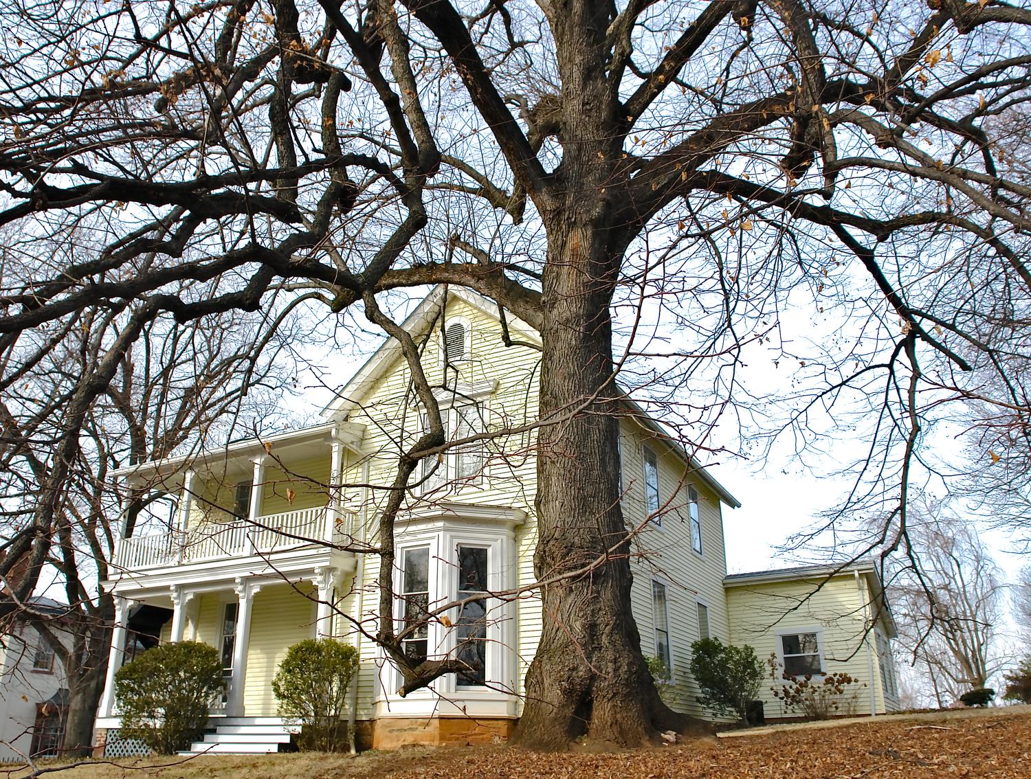  - A closer look at the house with the very big tree. -  - taken with Sony DSC-R1 - Warrenton, Virginia - Tony Karp, design, art, photography, techno-impressionist, techno-impressionism, aerial photography , drone , drones , dji , mavic pro , video , 3D printing - Books -
