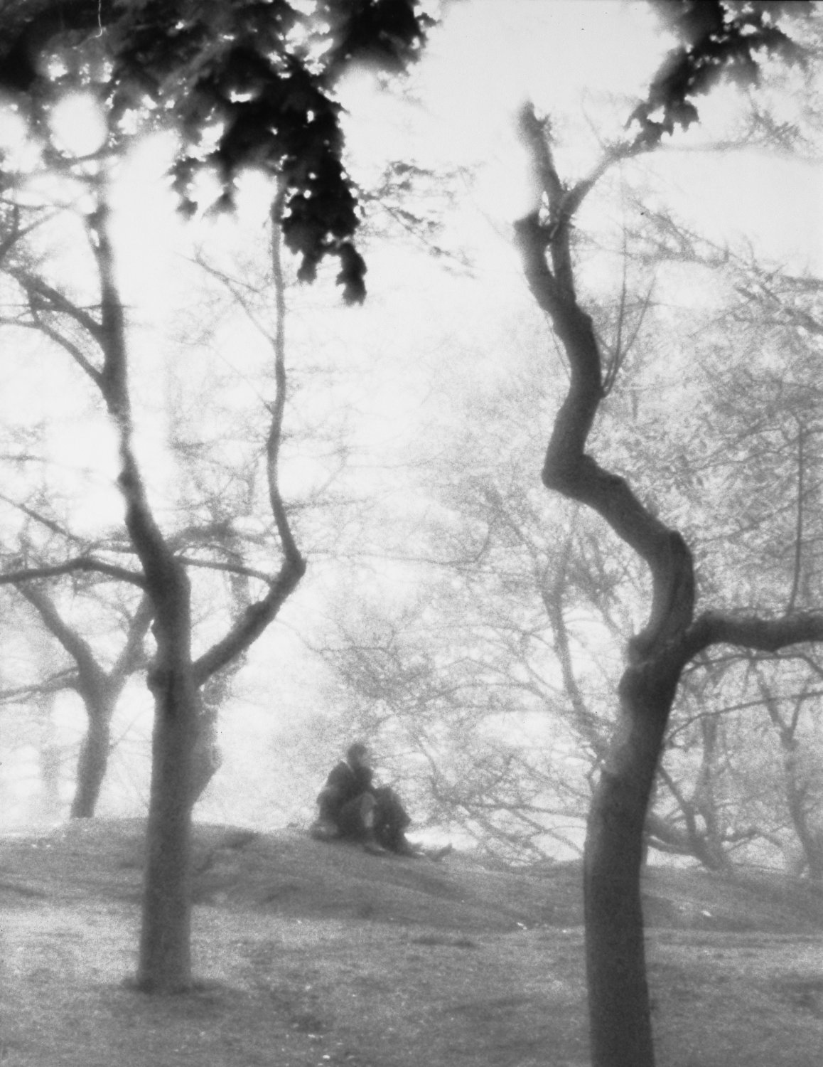  - A fantasy in Central Park. - Photojournalism - Life Magazine - Black and white photography - Canon rangefinder and SLR cameras - Tony Karp, design, art, photography, techno-impressionist, techno-impressionism, aerial photography , drone , drones , dji , mavic pro , video , 3D printing - Books -
