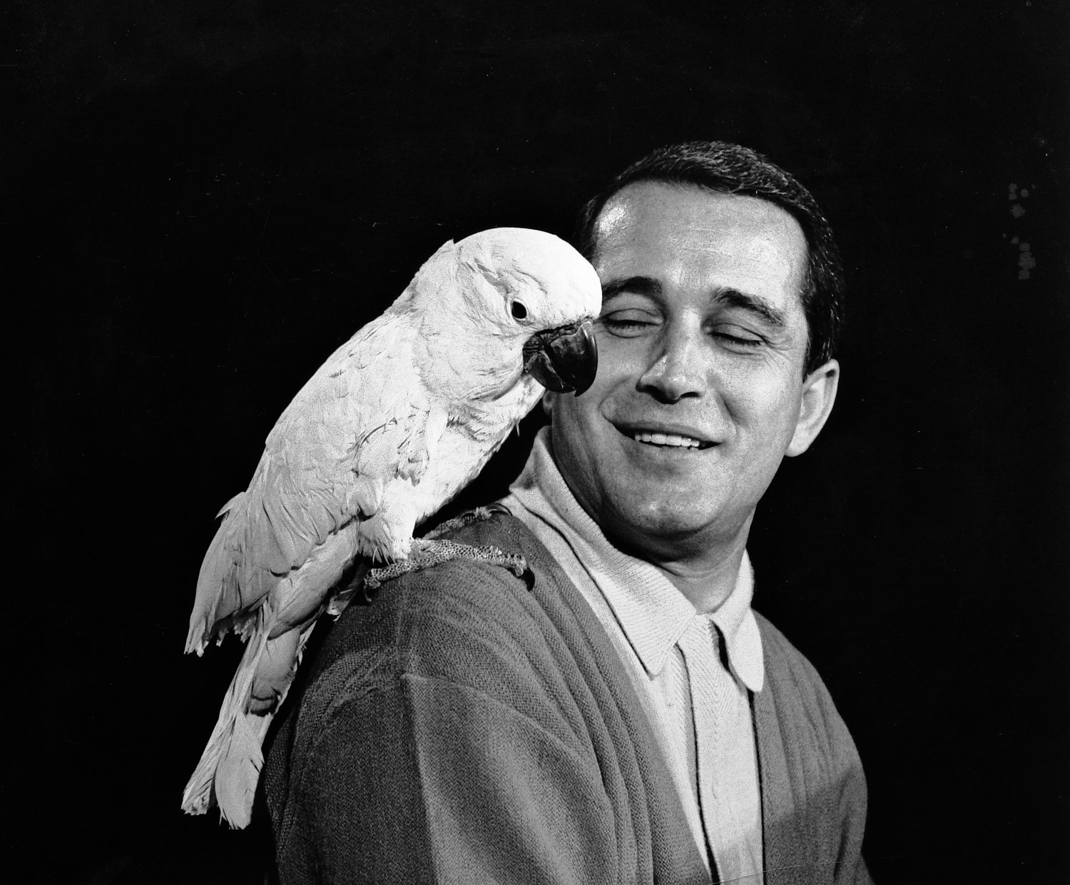  - Perry Como with friend. Yes, it's a real bird. - Perry Como Show - NBC - Tony Karp, design, art, photography, techno-impressionist, techno-impressionism, aerial photography , drone , drones , dji , mavic pro , video , 3D printing - Books -