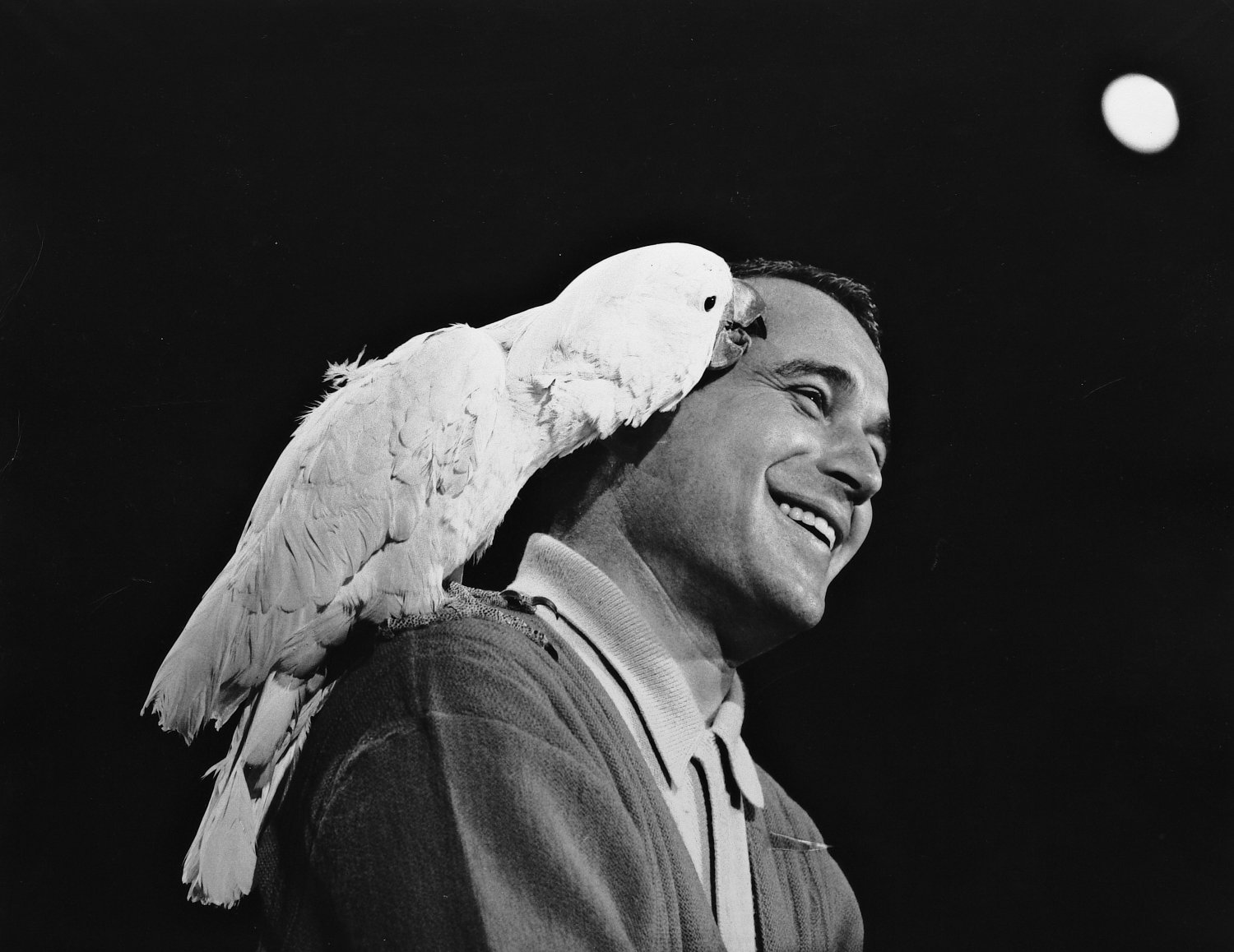  - Obviously, the bird likes Perry's singing. - Perry Como Show - NBC - Tony Karp, design, art, photography, techno-impressionist, techno-impressionism, aerial photography , drone , drones , dji , mavic pro , video , 3D printing - Books -