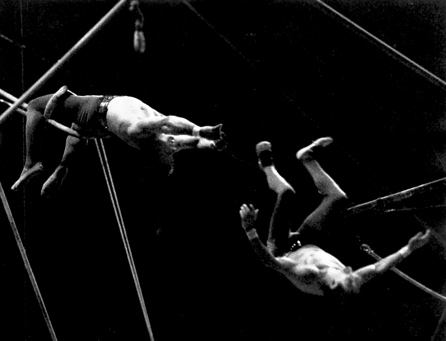  - But sometimes you miss. - Leo Stashin. Circus, Ringling Bros. Barnum and Bailey, Madison Square Garden, tightrope, trapeze. Alzana, black and white - Tony Karp, design, art, photography, techno-impressionist, techno-impressionism, aerial photography , drone , drones , dji , mavic pro , video , 3D printing - Books -