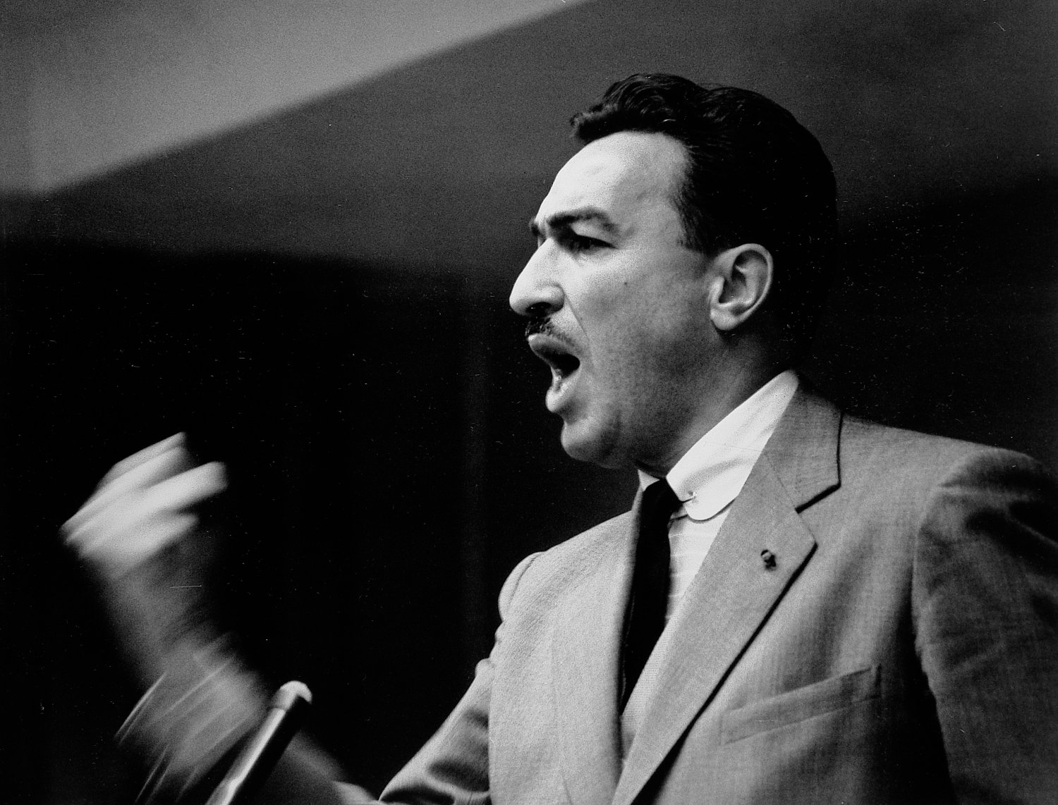  - Adam Clayton Powell Jr, the fiery congressman from Harlem, was a strong supporter of the union and worker's rights. - Local 1199 RWDSU hospital strike - Union - Tony Karp, design, art, photography, techno-impressionist, techno-impressionism, aerial photography , drone , drones , dji , mavic pro , video , 3D printing - Books -