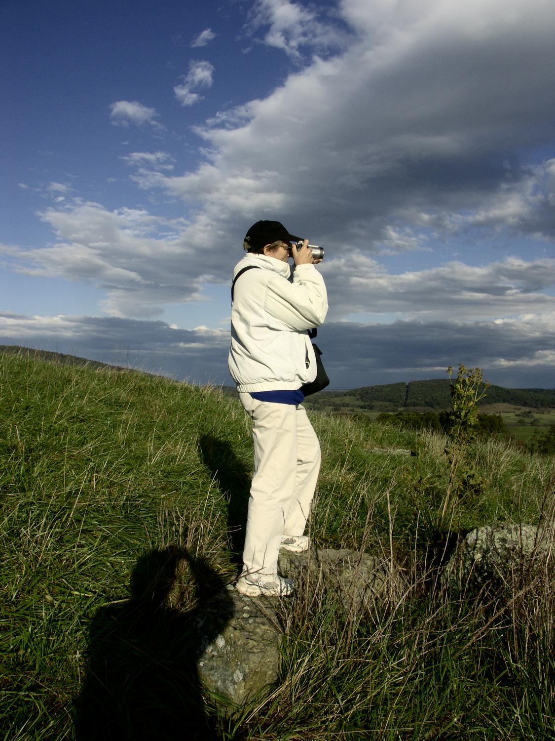  - On a hill at Sky Meadows - pictures of the Hobbitt - the artist's muse - I did this for Facebook - Tony Karp, design, art, photography, techno-impressionist, techno-impressionism, aerial photography , drone , drones , dji , mavic pro , video , 3D printing - Books -