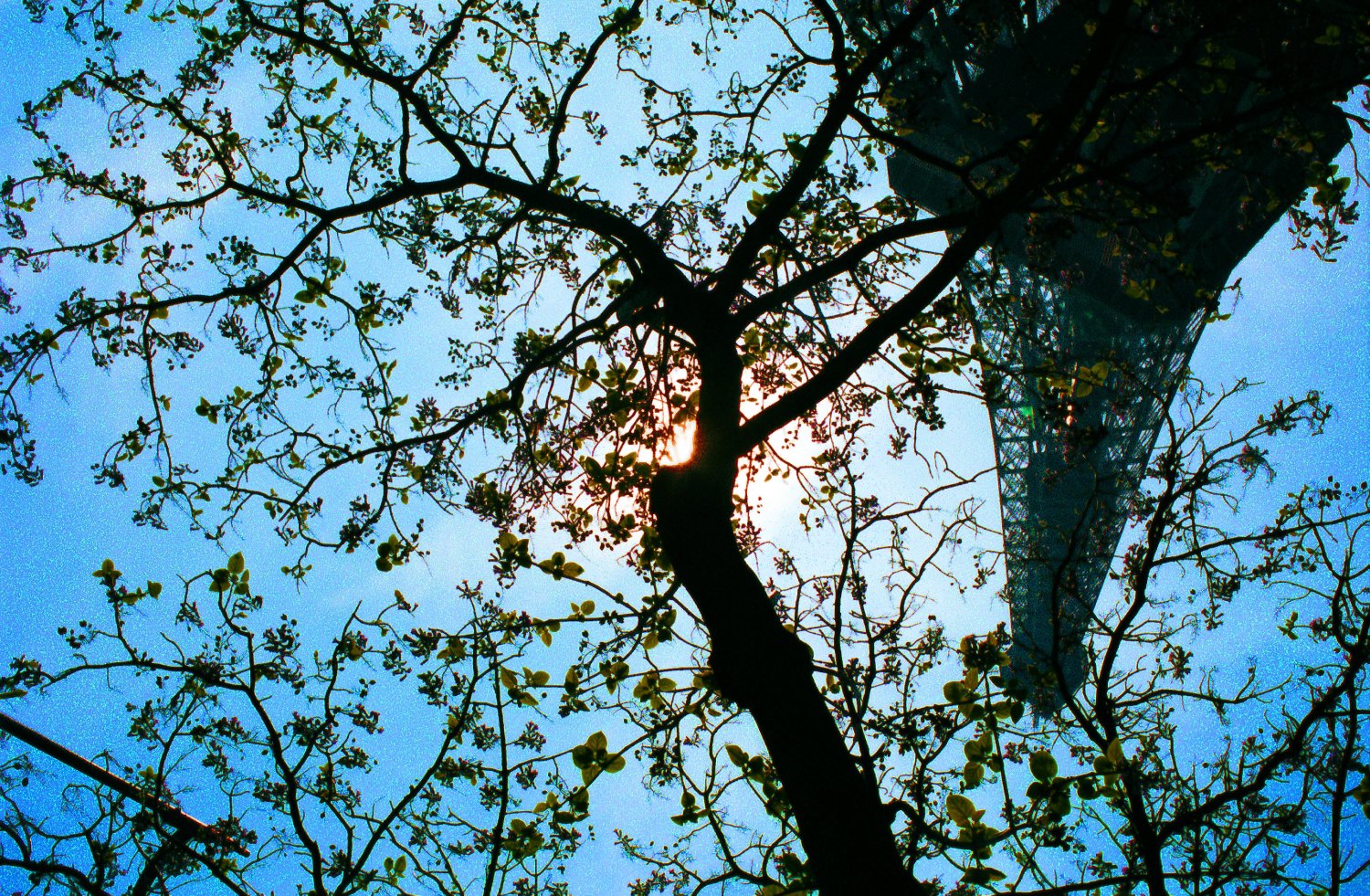  - The Eiffel upside down tower. - Paris, eiffel tower - Tony Karp, design, art, photography, techno-impressionist, techno-impressionism, aerial photography , drone , drones , dji , mavic pro , video , 3D printing - Books -