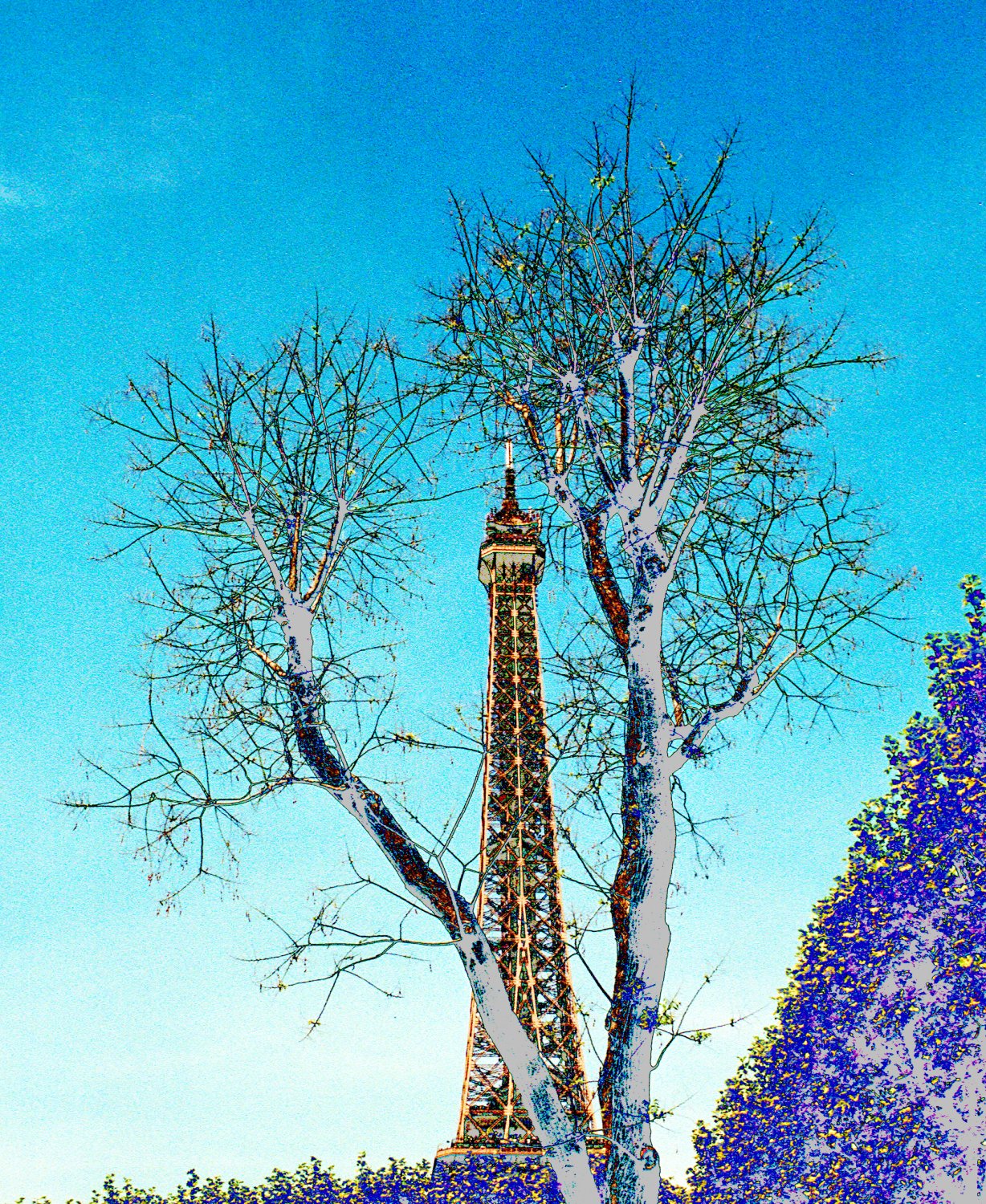  - The Eiffel Tower with trees. - Paris, eiffel tower - Tony Karp, design, art, photography, techno-impressionist, techno-impressionism, aerial photography , drone , drones , dji , mavic pro , video , 3D printing - Books -