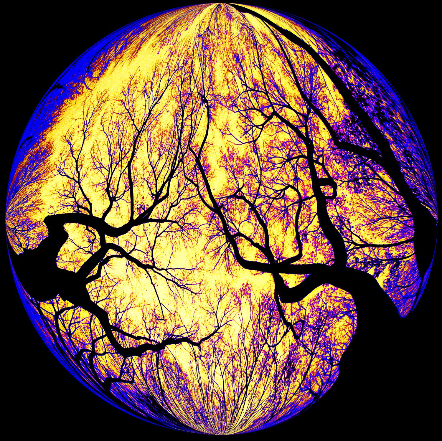  The Strawbs used this on an album cover - - Haunted trees inside a bubble -  Tony Karp's Bubble Pictures - From 1959 to 2013 - Tony Karp, design, art, photography, techno-impressionist, techno-impressionism, aerial photography , drone , drones , dji , mavic pro , video , 3D printing - Books -