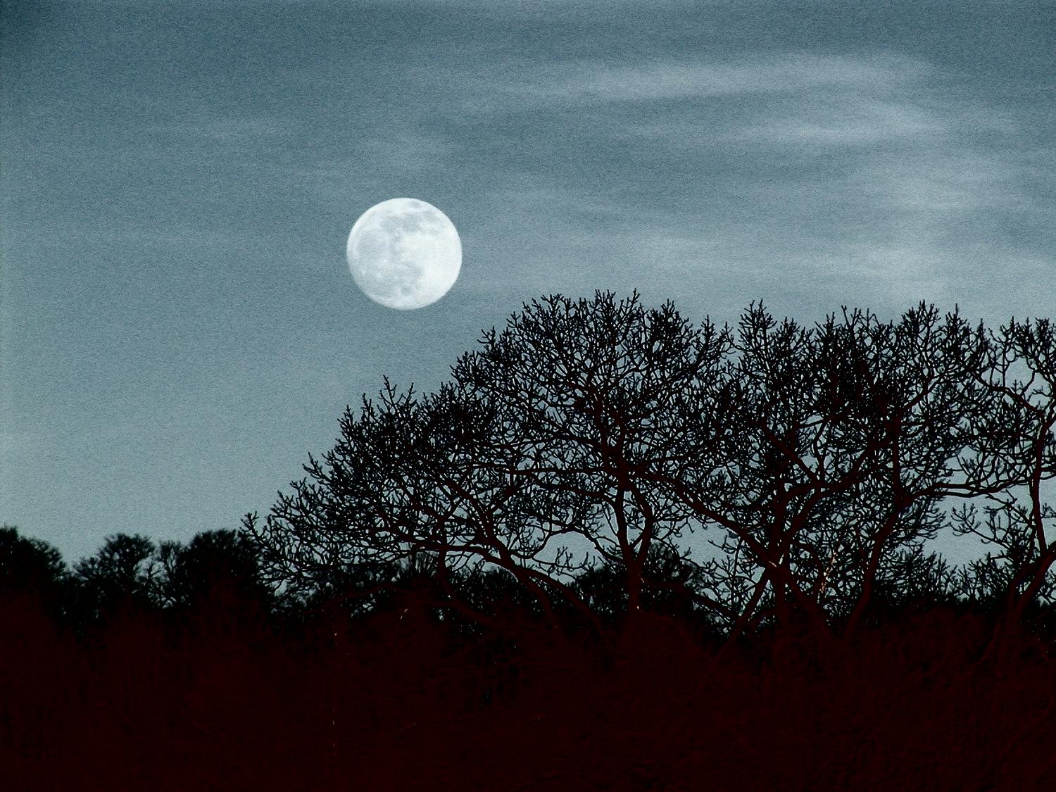 Moon over the trees - A tribute to the Apollo 11 astronauts - Tony Karp, design, art, photography, techno-impressionist, techno-impressionism, aerial photography , drone , drones , dji , mavic pro , video , 3D printing - Books -