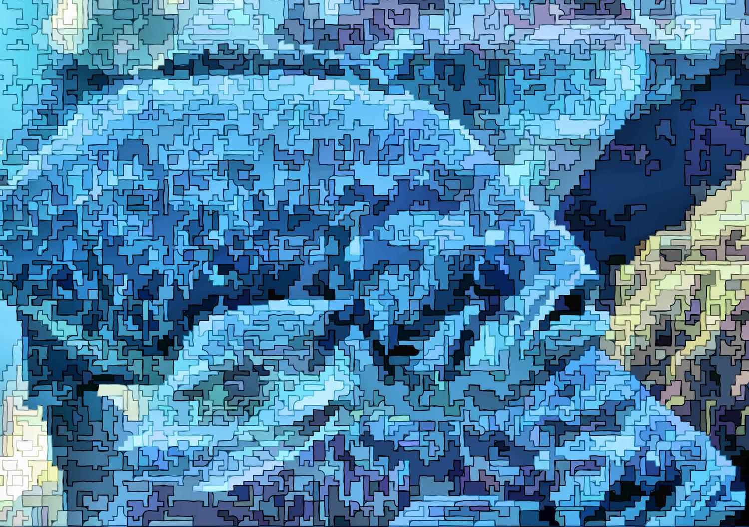  - The fabled South African puzzlefish at the Monterey Bay Aquarium. - - Olympus C-2100UZ - Olympus C-2100 Ultra Zoom - Tony Karp, design, art, photography, techno-impressionist, techno-impressionism, aerial photography , drone , drones , dji , mavic pro , video , 3D printing - Books -