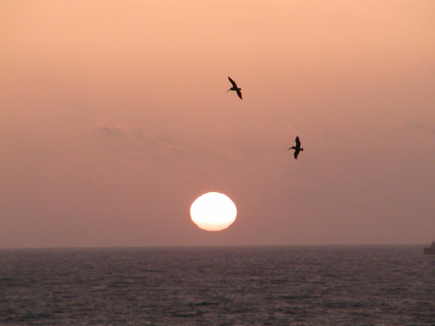  - Sunset over the Pacific. - - Olympus C-2100UZ - Olympus C-2100 Ultra Zoom - Tony Karp, design, art, photography, techno-impressionist, techno-impressionism, aerial photography , drone , drones , dji , mavic pro , video , 3D printing - Books -