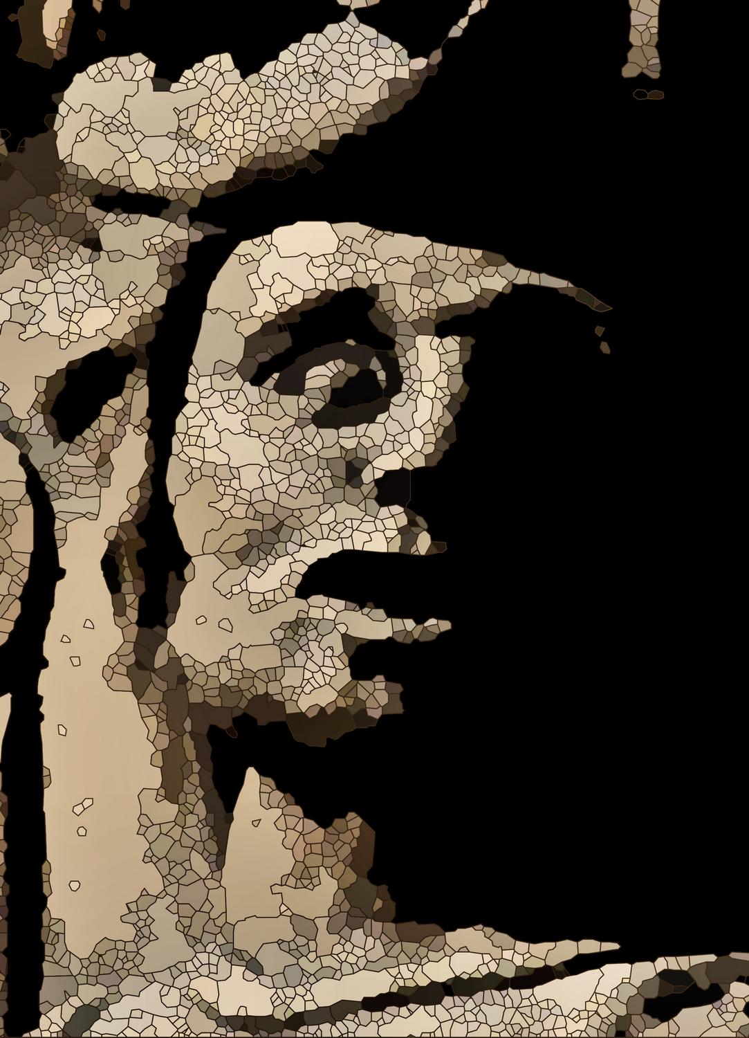  - Face of fear - Metropolitan Museum of Art, New York City - Tony Karp, design, art, photography, techno-impressionist, techno-impressionism, aerial photography , drone , drones , dji , mavic pro , video , 3D printing - Books -