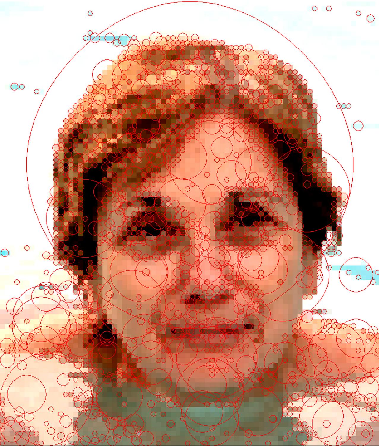 the artist's muse in the swimming pool - Panasonic DMC-FZ5 - Portrait of the Hobbitt with rhythmic beats and circles - Panasonic DMC-FZ5 - Tony Karp, design, art, photography, techno-impressionist, techno-impressionism, aerial photography , drone , drones , dji , mavic pro , video , 3D printing - Books -
