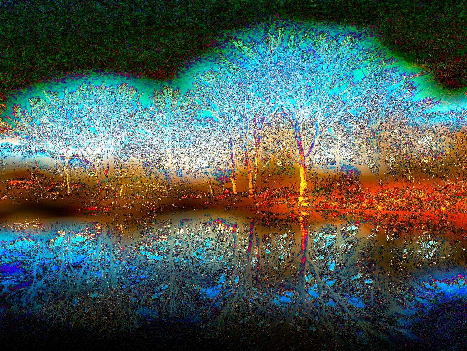 Glowing tree reflected in water #3 - - Can you really do that? - Ida Lee Park, Leesburg Virginia - Panasonic DMC-FZ5 - Tony Karp, design, art, photography, techno-impressionist, techno-impressionism, aerial photography , drone , drones , dji , mavic pro , video , 3D printing - Books -