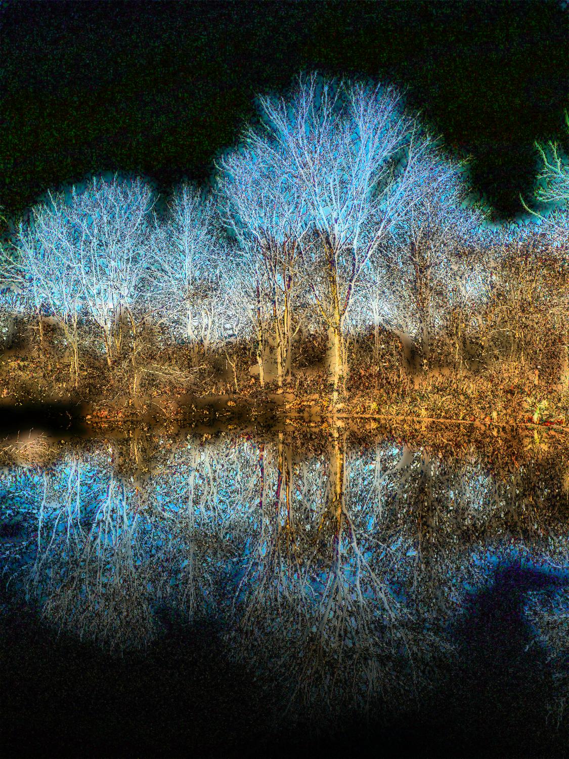 Glowing tree reflected in water - - Adding some fantasy - Ida Lee Park, Leesburg Virginia - Panasonic DMC-FZ5 - Tony Karp, design, art, photography, techno-impressionist, techno-impressionism, aerial photography , drone , drones , dji , mavic pro , video , 3D printing - Books -