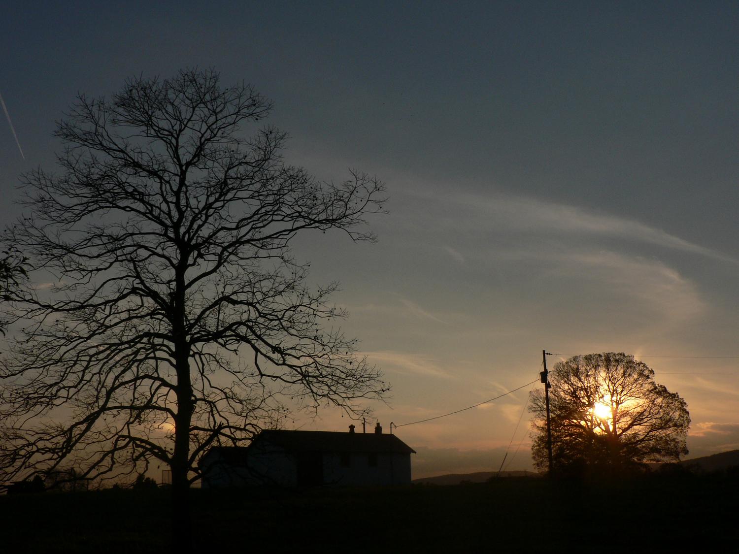  - Wide angle view, at sunset, with an extra tree in the foreground for dramatic effect. -  - Panasonic DMC-FZ5 - Tony Karp, design, art, photography, techno-impressionist, techno-impressionism, aerial photography , drone , drones , dji , mavic pro , video , 3D printing - Books -