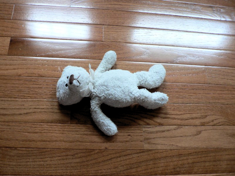  - This is White Bear. He's my best friend. - Pictures taken by my granddaughter - Tony Karp, design, art, photography, techno-impressionist, techno-impressionism, aerial photography , drone , drones , dji , mavic pro , video , 3D printing - Books -
