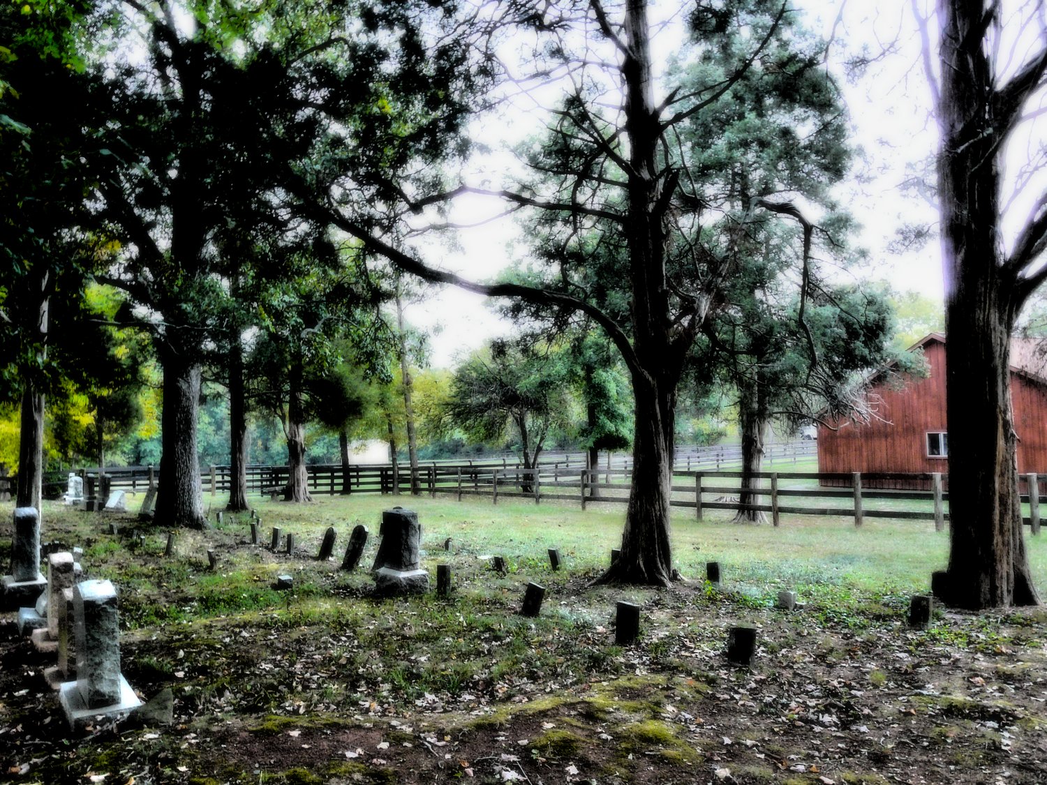Cemetery on our road - - Cemetery on our road - Panasonic DMC-FZ18 - Tony Karp, design, art, photography, techno-impressionist, techno-impressionism, aerial photography , drone , drones , dji , mavic pro , video , 3D printing - Books -