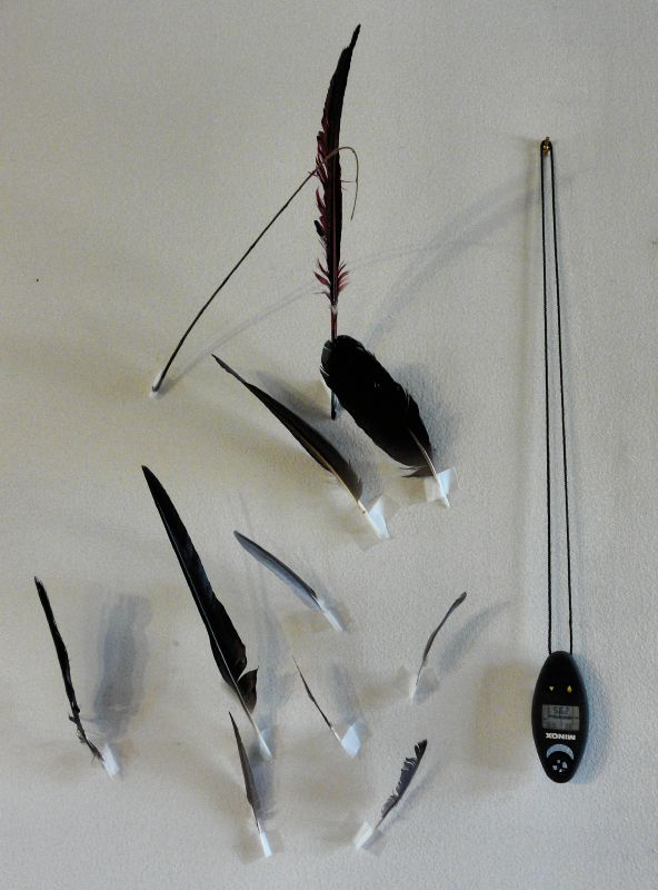  - Wall feathers #2 - Panasonic DMC-FZ18 - Tony Karp, design, art, photography, techno-impressionist, techno-impressionism, aerial photography , drone , drones , dji , mavic pro , video , 3D printing - Books -