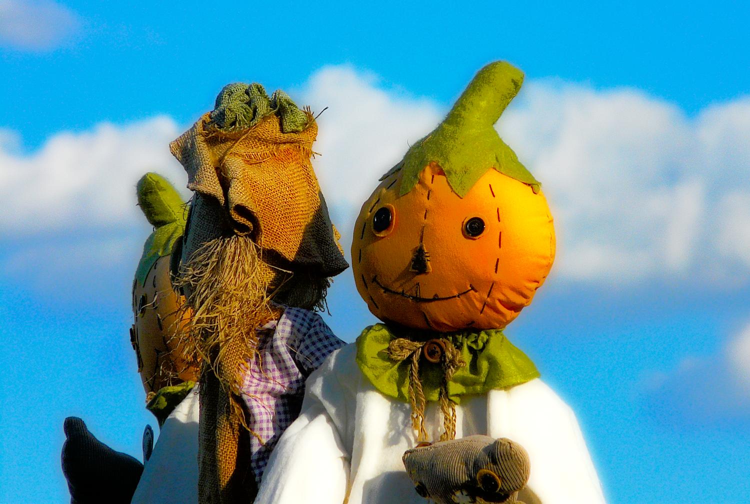 fantastical shot of a pumpkin scarecrow, with friends, like something from The Wizard of OZ - Mr. Pumpkin's fantasy - Panasonic DMC-FZ18 - Tony Karp, design, art, photography, techno-impressionist, techno-impressionism, aerial photography , drone , drones , dji , mavic pro , video , 3D printing - Books -