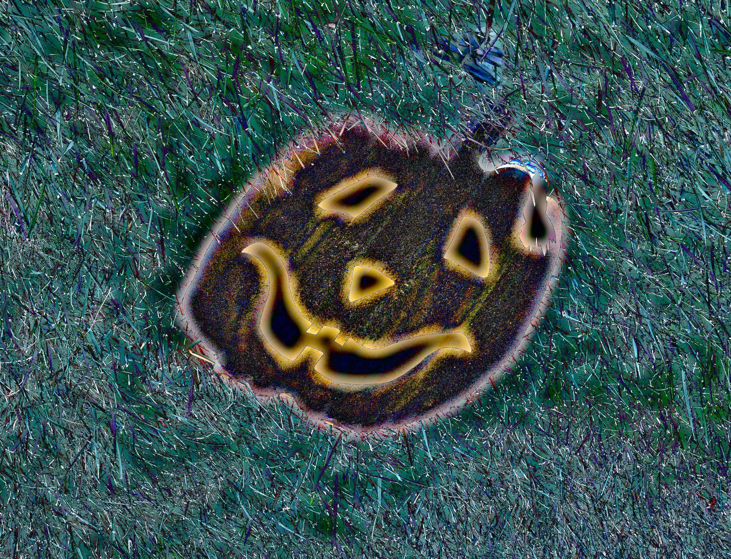  - Mr. Pumpkin's other fantasy - Panasonic DMC-FZ18 - Tony Karp, design, art, photography, techno-impressionist, techno-impressionism, aerial photography , drone , drones , dji , mavic pro , video , 3D printing - Books -