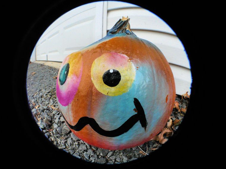 Hilarious pumpkin - - My granddaughter thinks this pumpkin is 'hilarious' - Panasonic DMC-FZ18 - Tony Karp, design, art, photography, techno-impressionist, techno-impressionism, aerial photography , drone , drones , dji , mavic pro , video , 3D printing - Books -