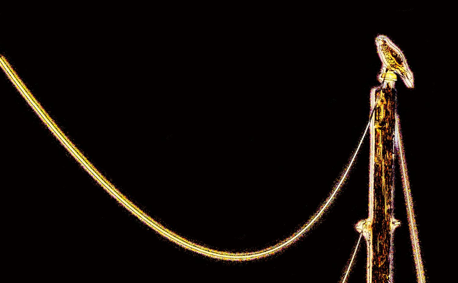  - Golden hawk - Panasonic DMC-FZ18 - Tony Karp, design, art, photography, techno-impressionist, techno-impressionism, aerial photography , drone , drones , dji , mavic pro , video , 3D printing - Books -