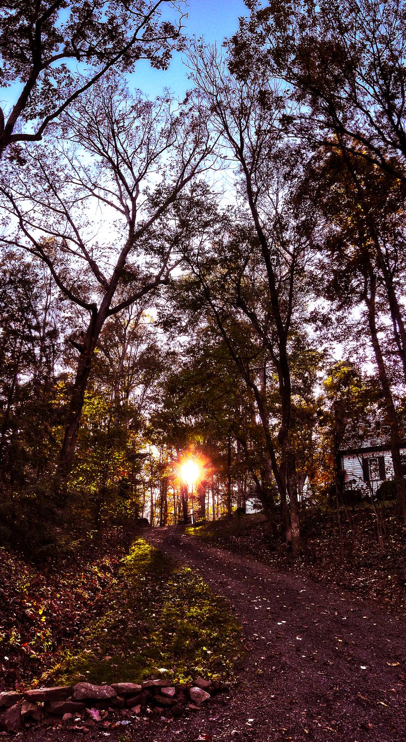 beautiful sunset through the trees - The road to the Marshall's' house - Panasonic DMC-FZ18 - Tony Karp, design, art, photography, techno-impressionist, techno-impressionism, aerial photography , drone , drones , dji , mavic pro , video , 3D printing - Books -