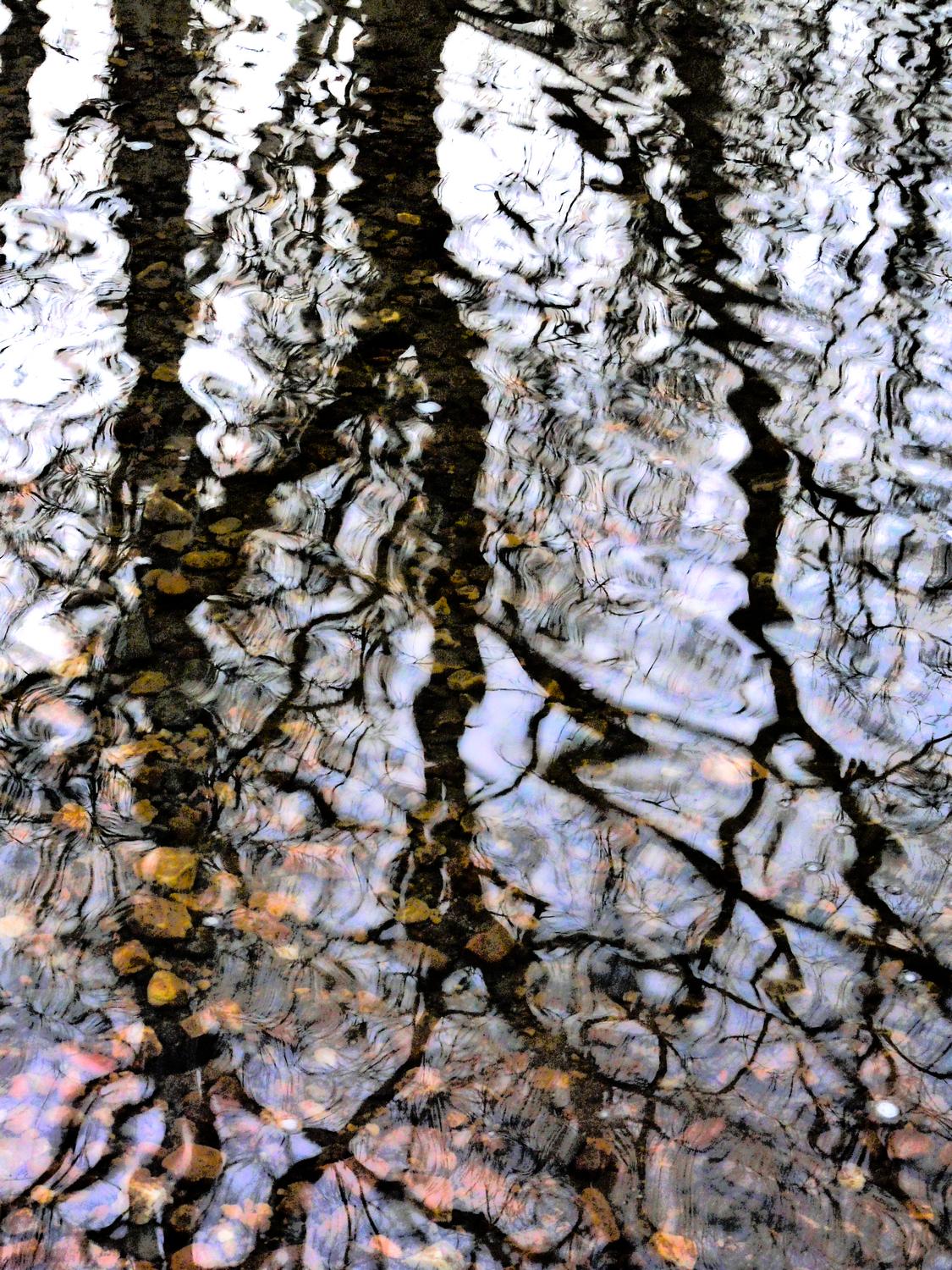 reflections of trees in the river water - Reflections at Bull Run - Panasonic DMC-FZ18 - Tony Karp, design, art, photography, techno-impressionist, techno-impressionism, aerial photography , drone , drones , dji , mavic pro , video , 3D printing - Books -