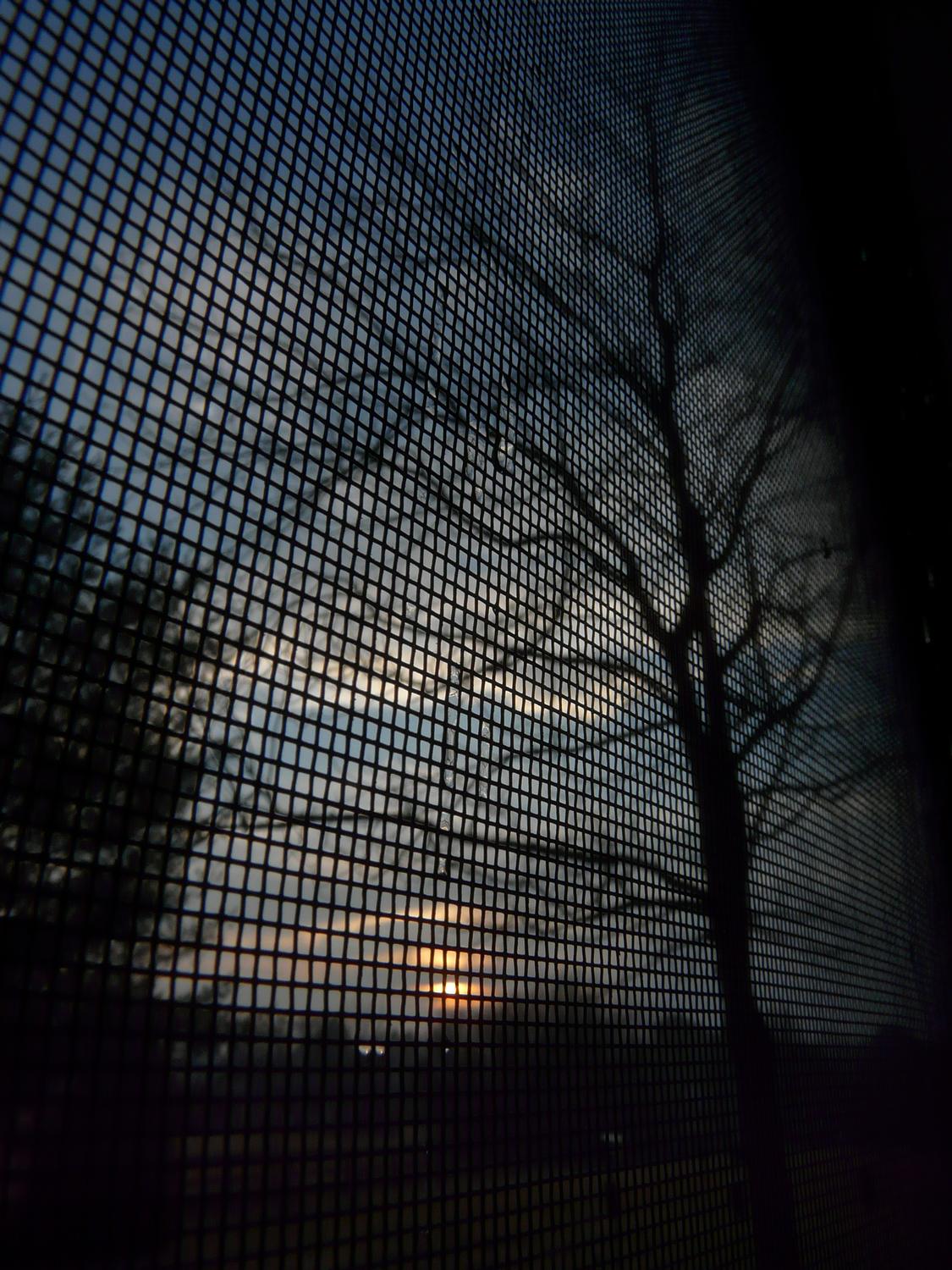  - Sunset from the porch - Panasonic DMC-FZ18 - Tony Karp, design, art, photography, techno-impressionist, techno-impressionism, aerial photography , drone , drones , dji , mavic pro , video , 3D printing - Books -