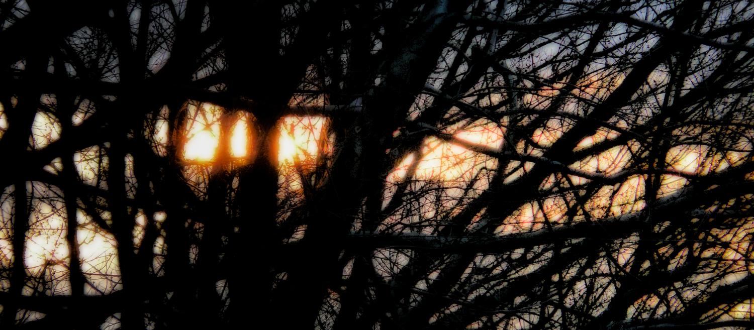  - Sunrise through the trees - Panasonic DMC-FZ18 - Tony Karp, design, art, photography, techno-impressionist, techno-impressionism, aerial photography , drone , drones , dji , mavic pro , video , 3D printing - Books -