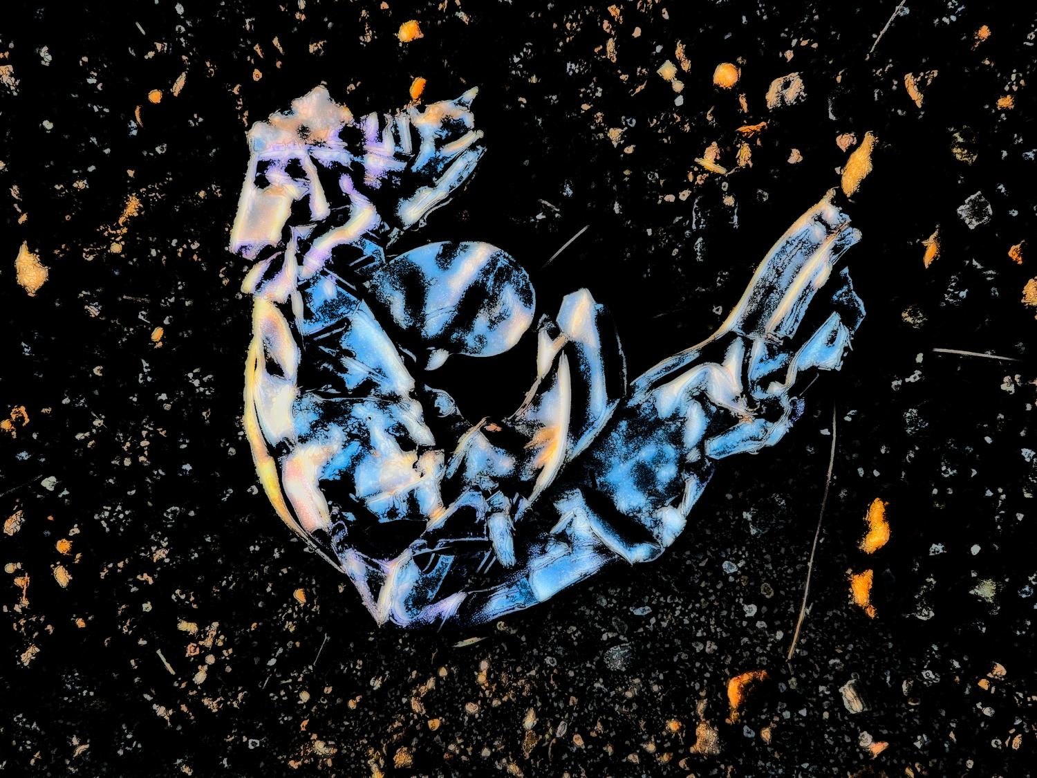 smashed can on the gravel - Road kill - Panasonic DMC-FZ18 - Tony Karp, design, art, photography, techno-impressionist, techno-impressionism, aerial photography , drone , drones , dji , mavic pro , video , 3D printing - Books -